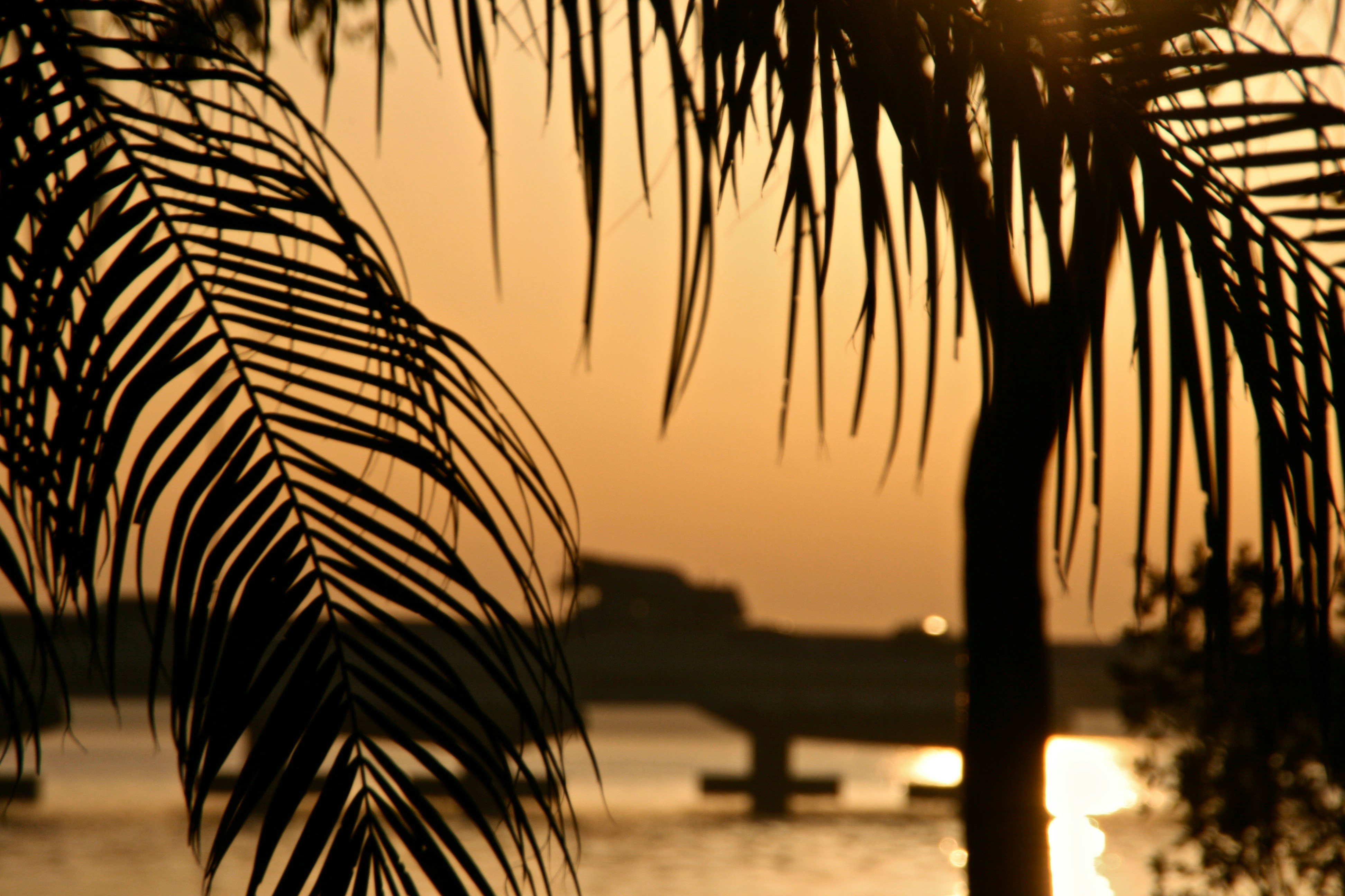 Why Cape Coral Is Florida’s Fastest-Growing Real Estate Hotspot in 2025 header image.