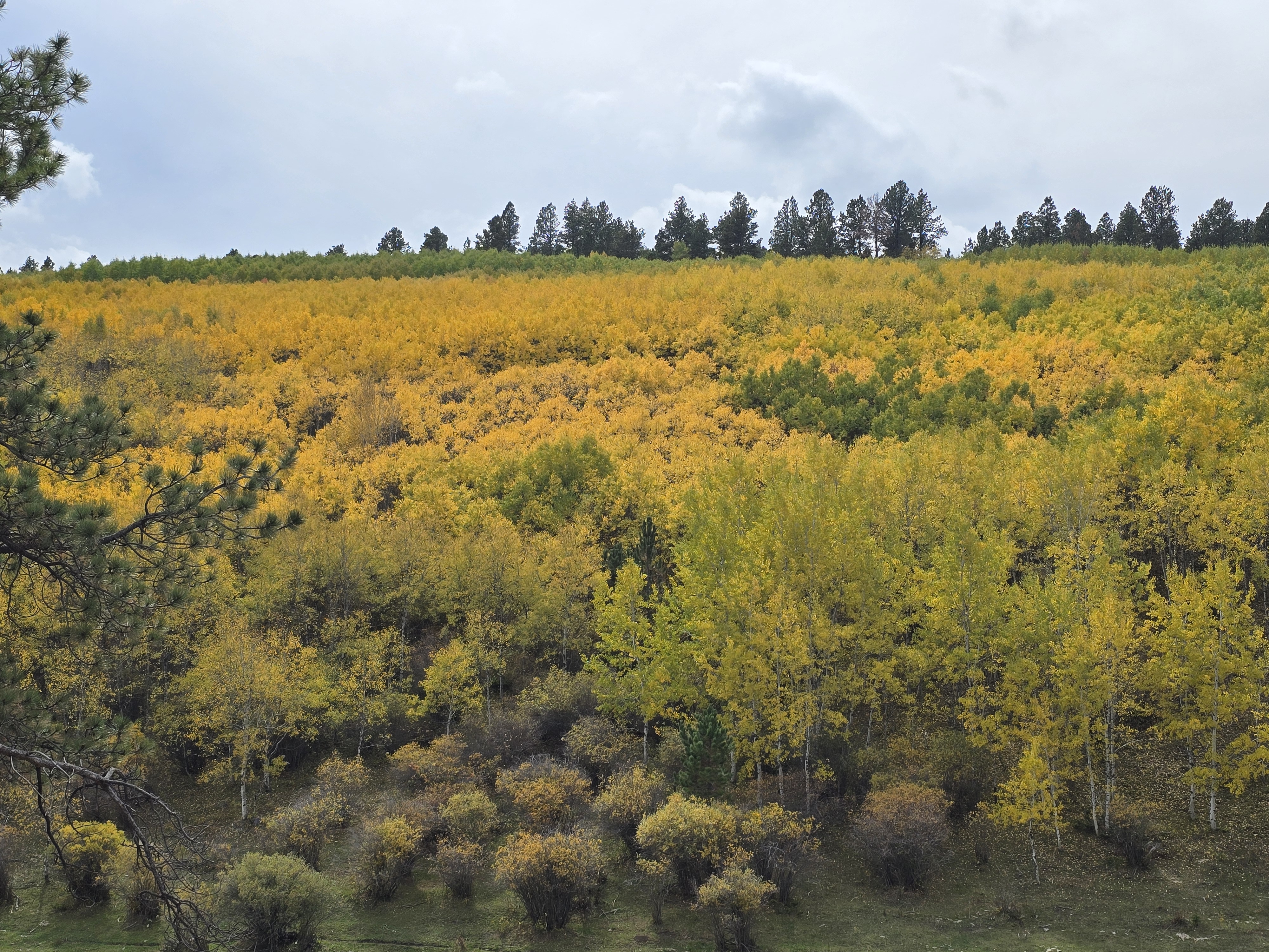 Sometimes the Best Real Estate is the View Outside Your Window header image.