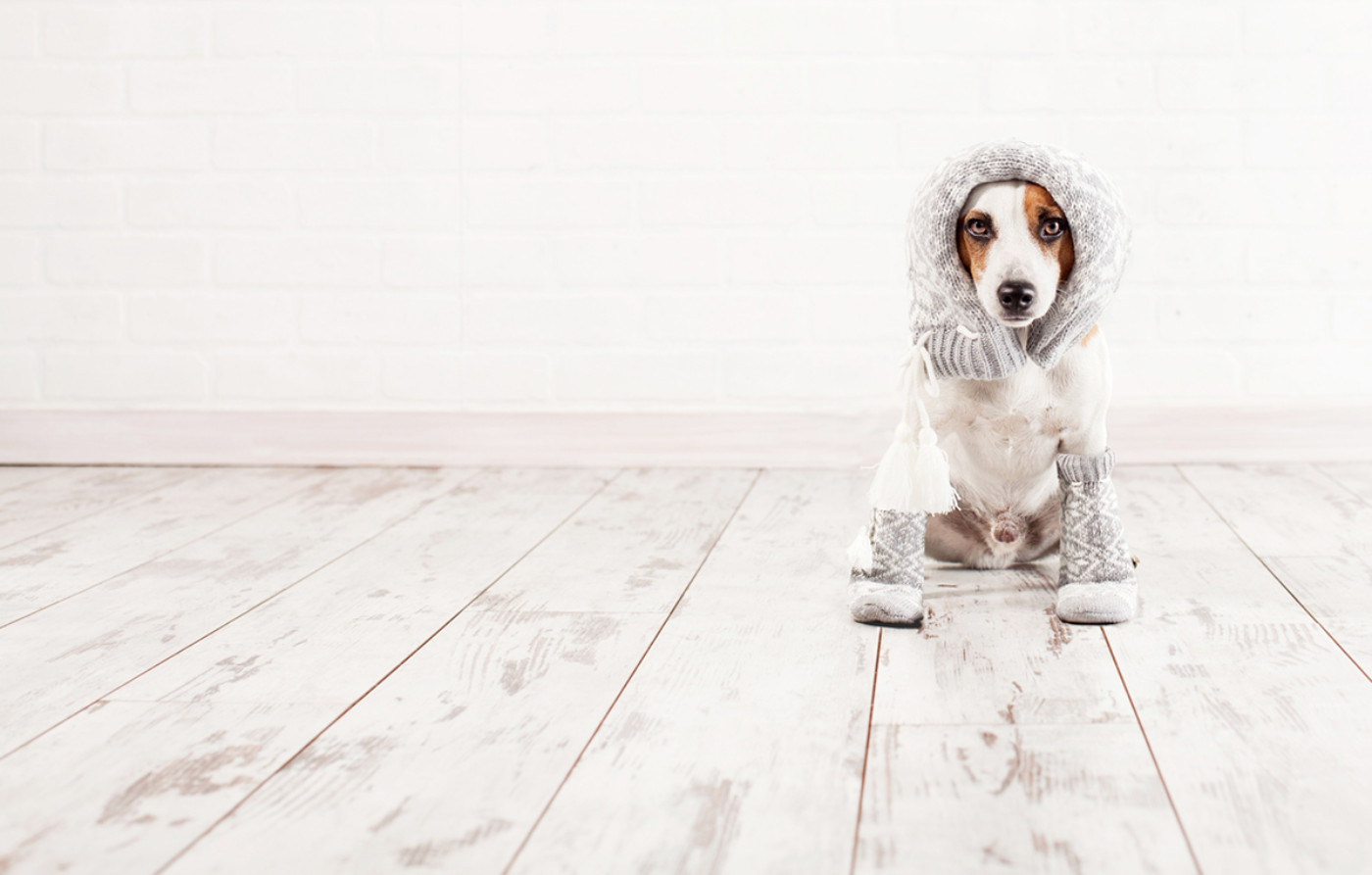 Winter Weatherproofing Ideas That Take Just Minutes header image.