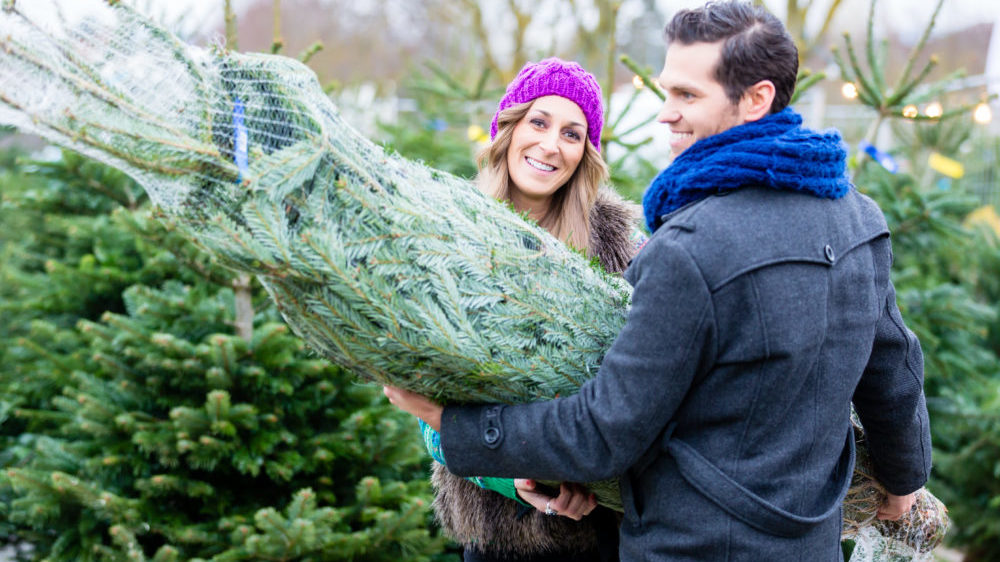 Forget Fake: Nothing Beats a Real Christmas Tree header image.
