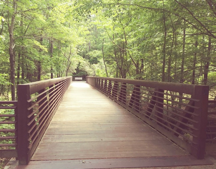 5 Great Cary Parks header image.