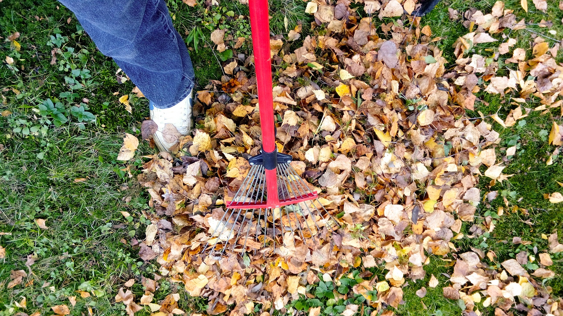 Home Maintenance & Deep Cleaning Checklist for Fall header image.