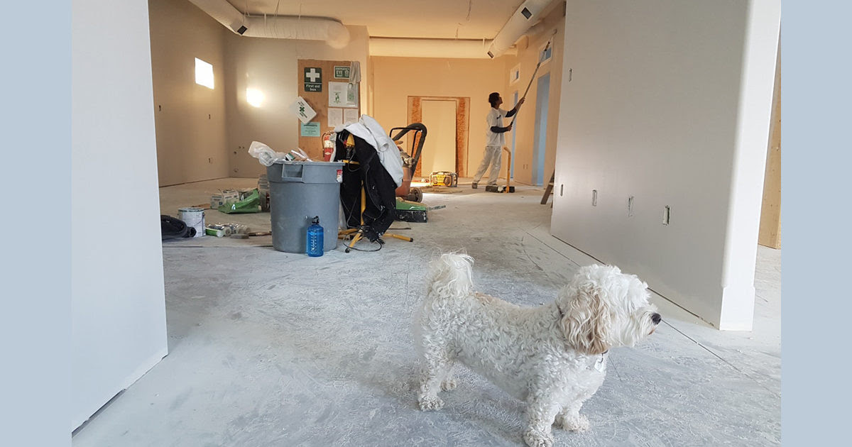 How to Keep Home Improvements From Demolishing Your Budget header image.