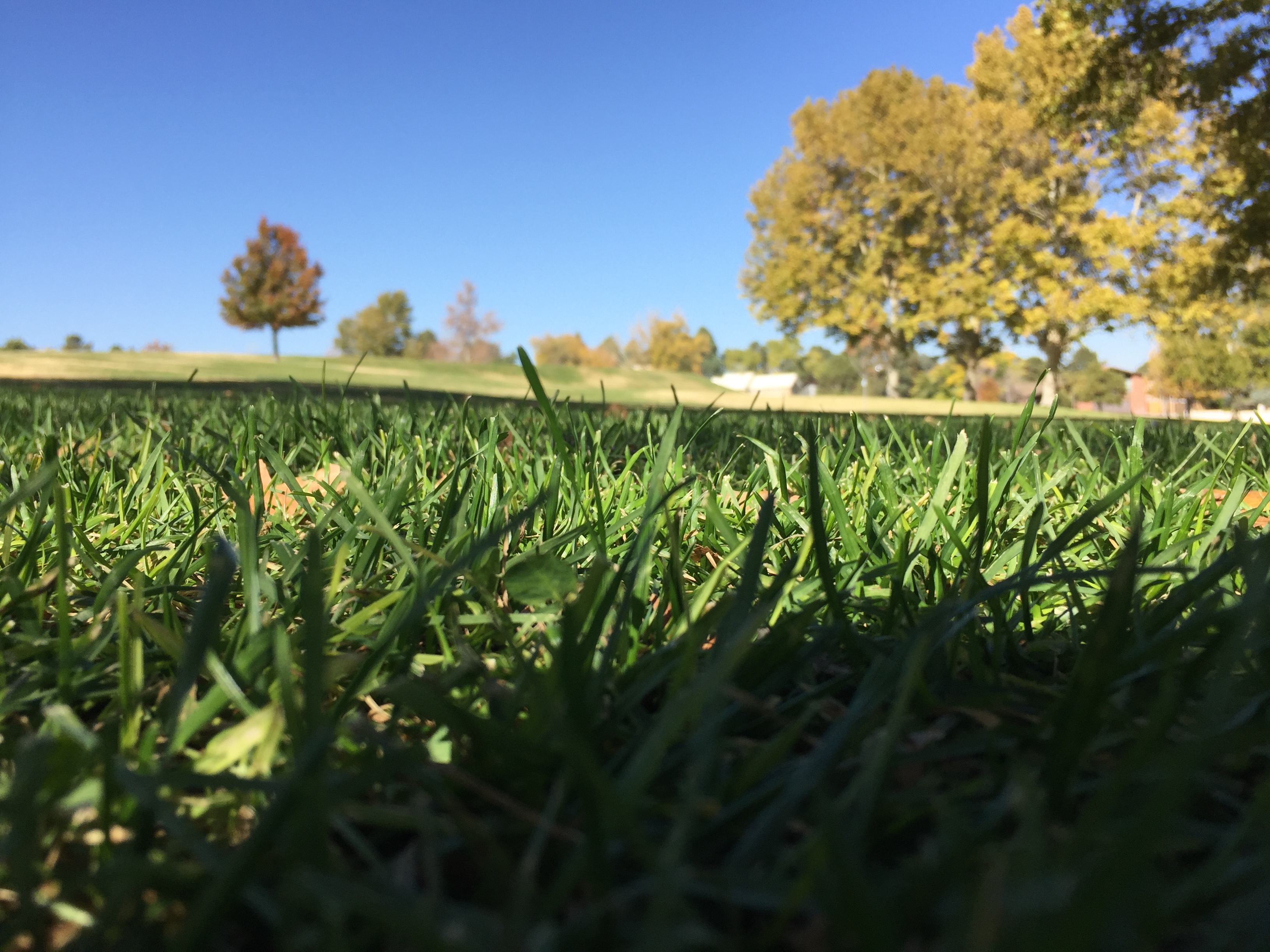 48 hours in North Campus and Summit Park header image.