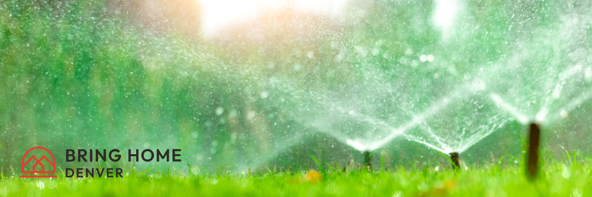 Late Summer Lawn Care Tips: Keep It Green While Saving Water header image.