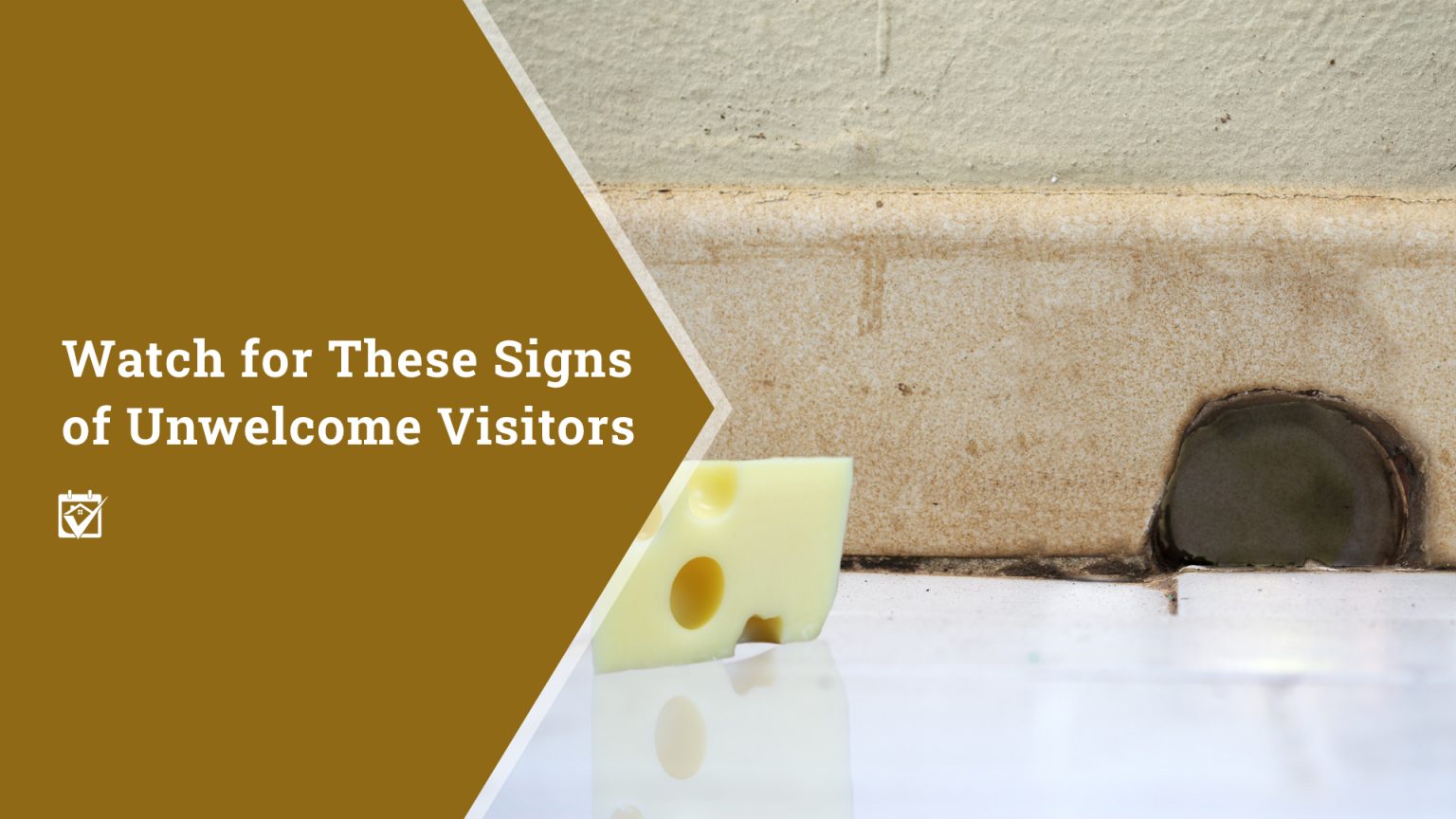 Watch for These Signs of Unwelcome Visitors header image.