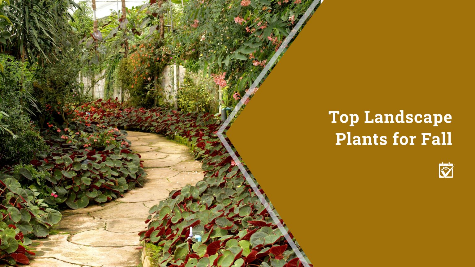 Top Landscape Plants for Fall header image.