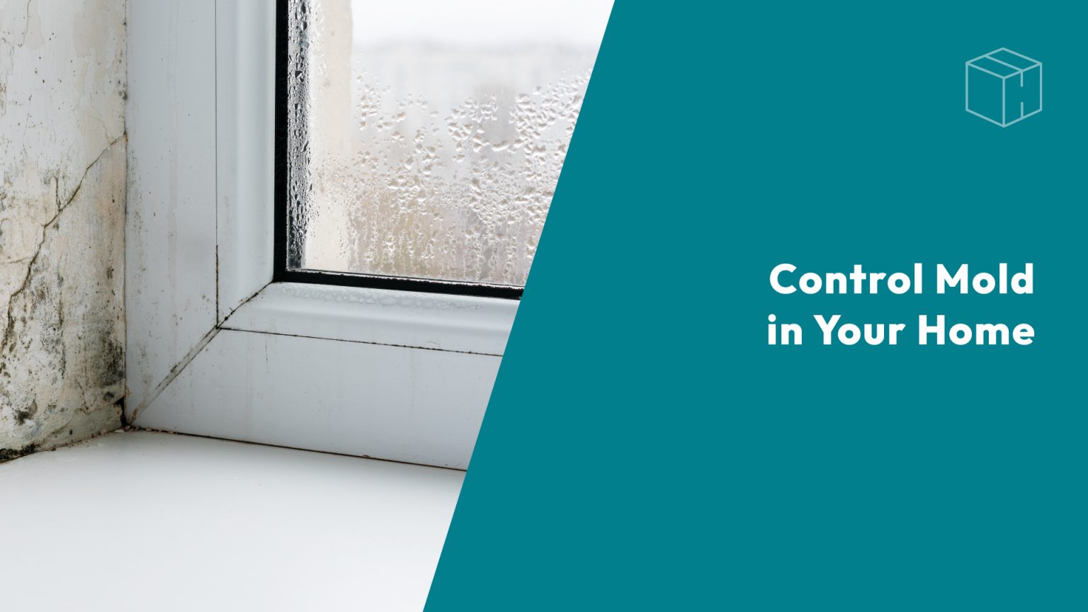 Controlling Mold header image.