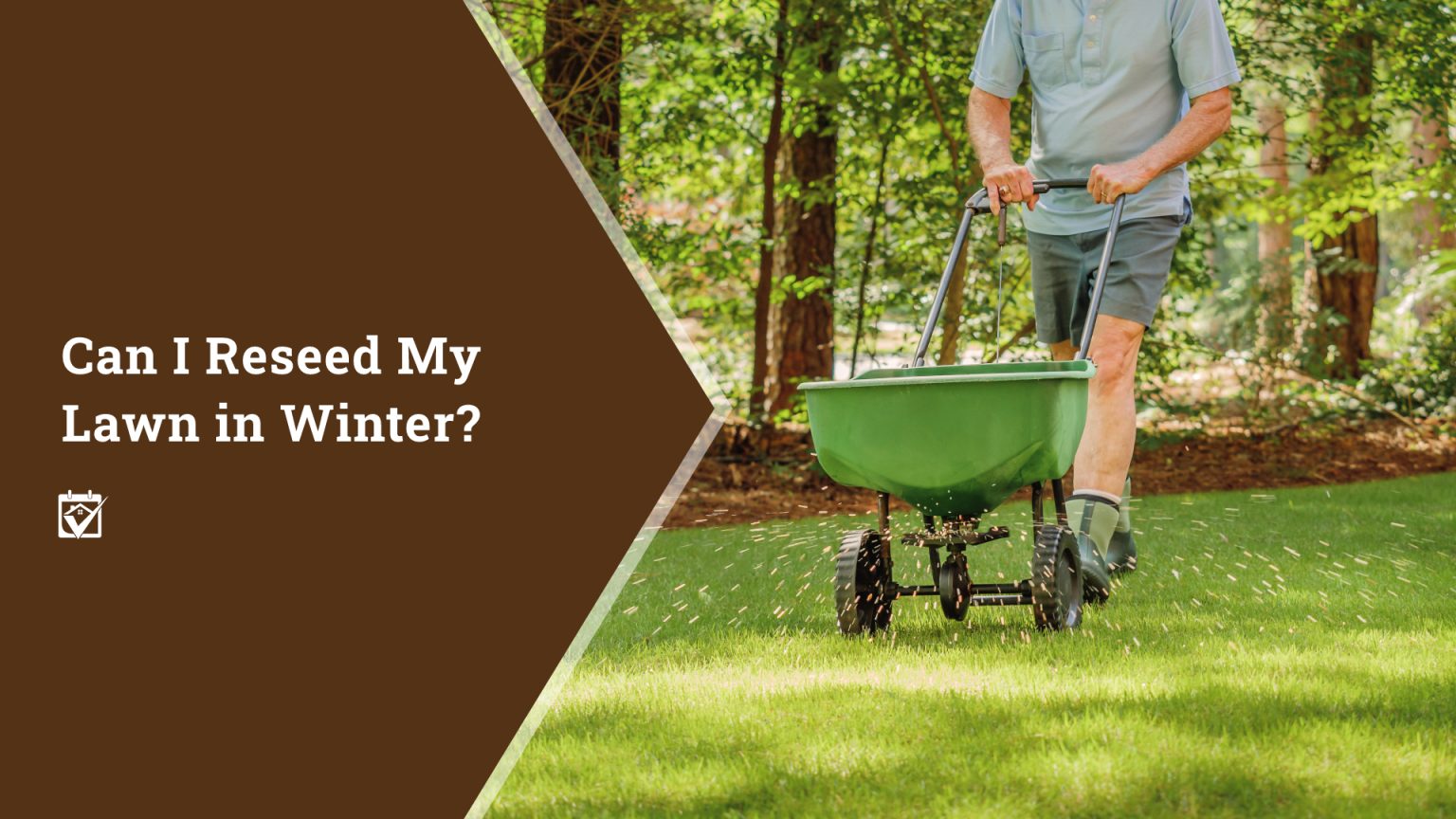 Can I Reseed My Lawn in Winter? header image.