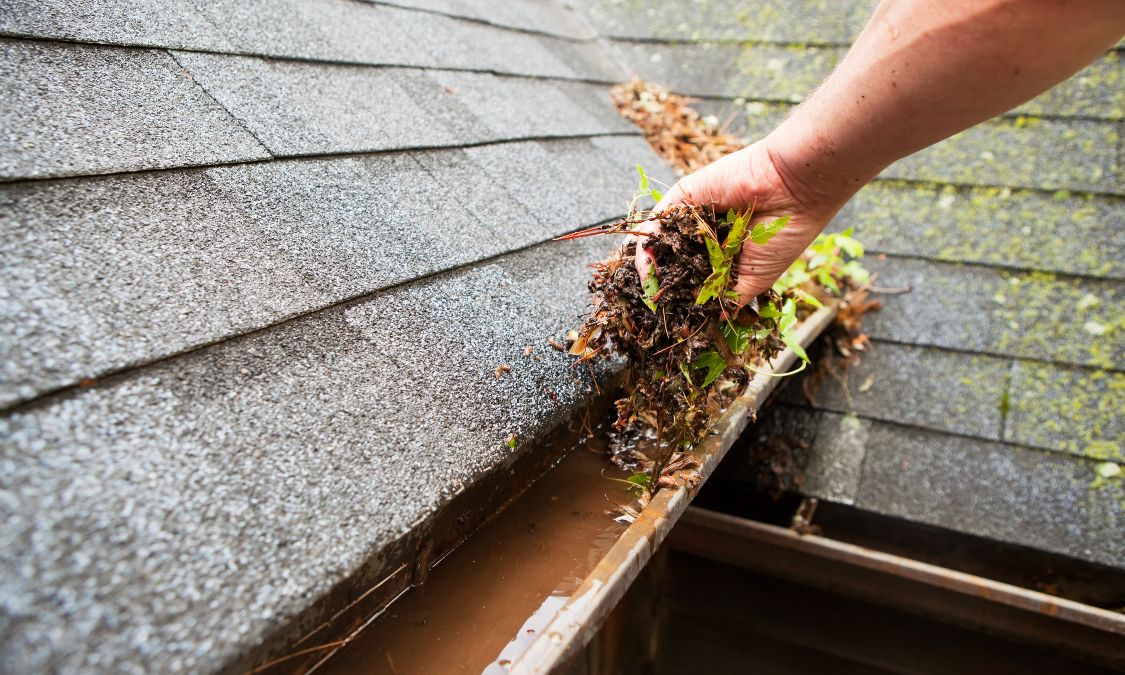 Hand removing wet leaves and debris from a clogged gutter during spring home maintenance.