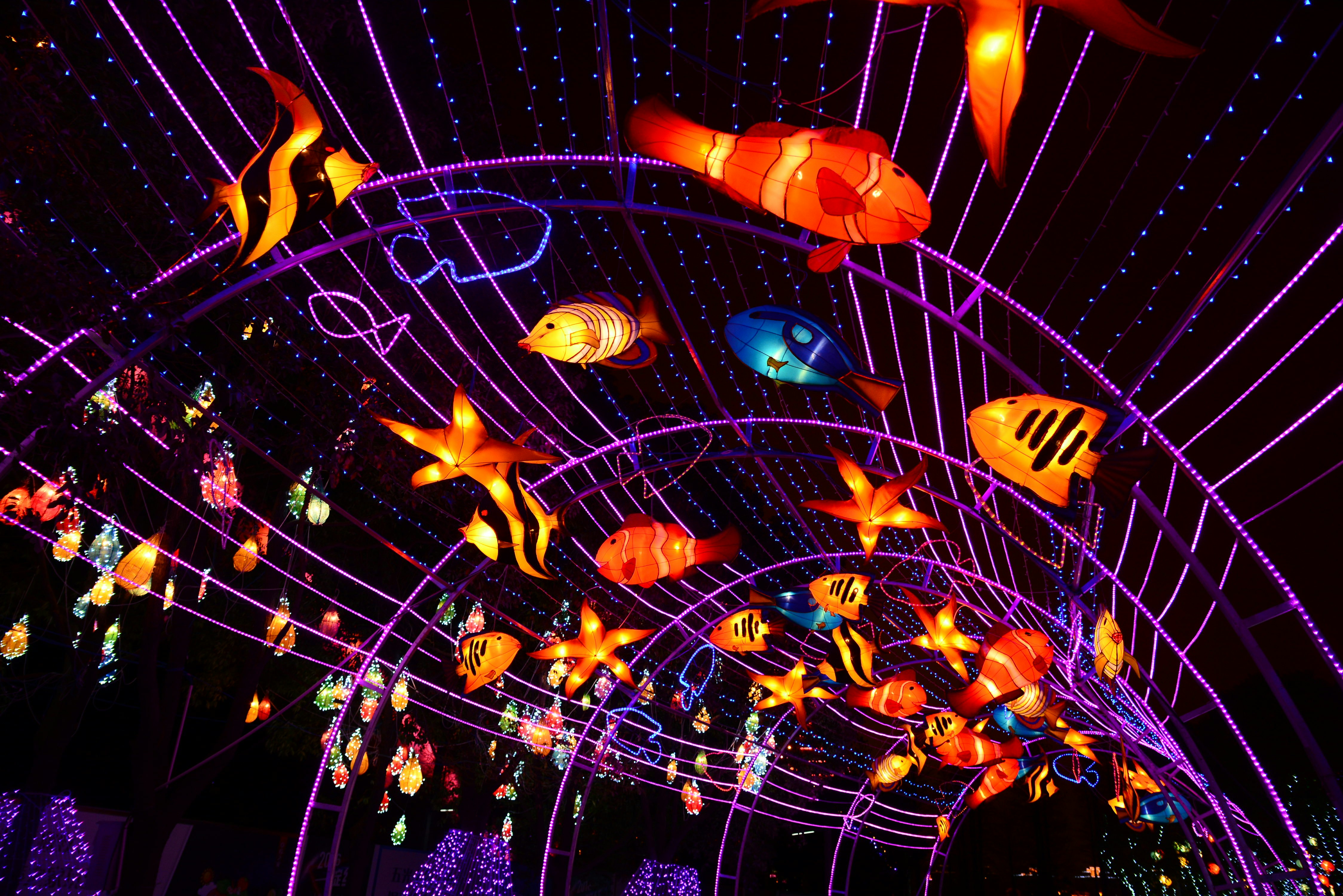 image of lantern fest