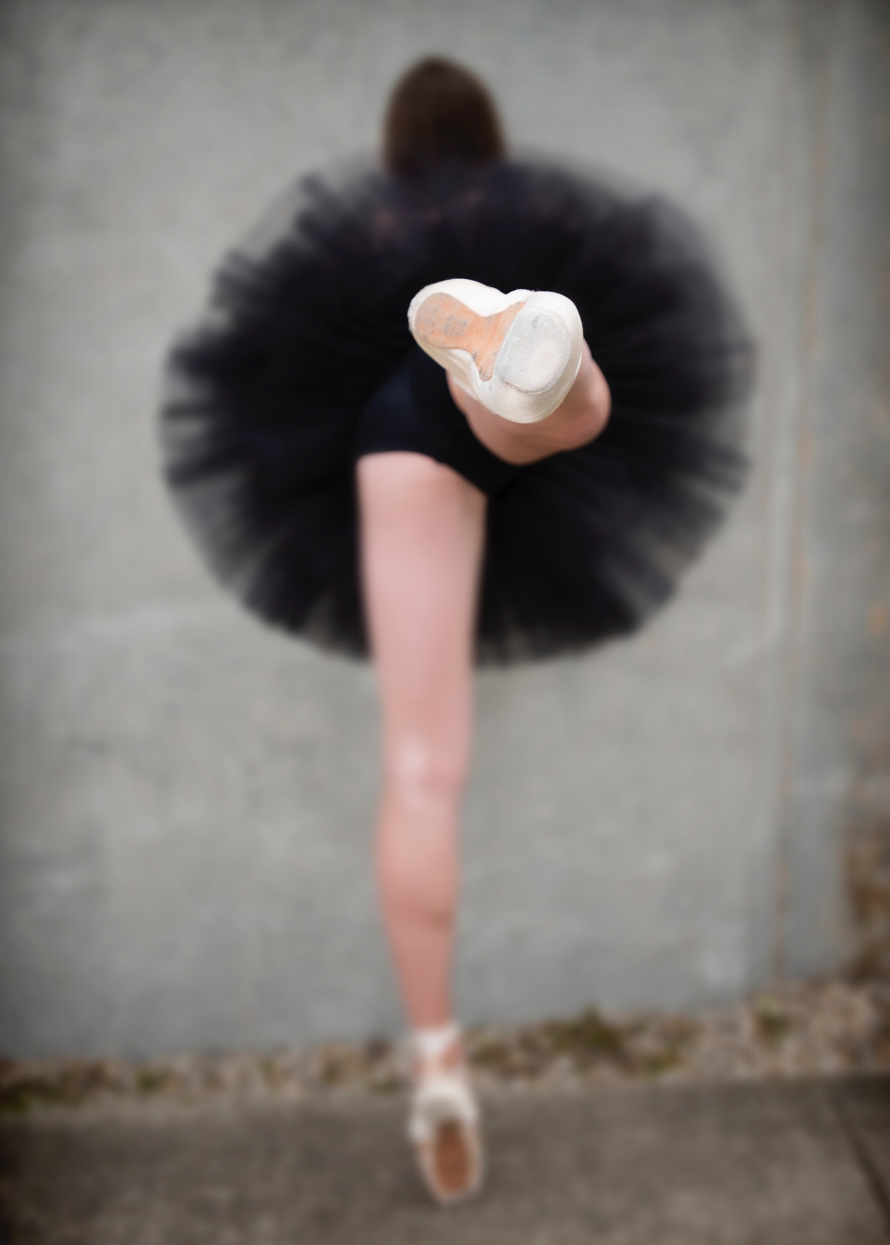 Grand Rapids Ballet header image.