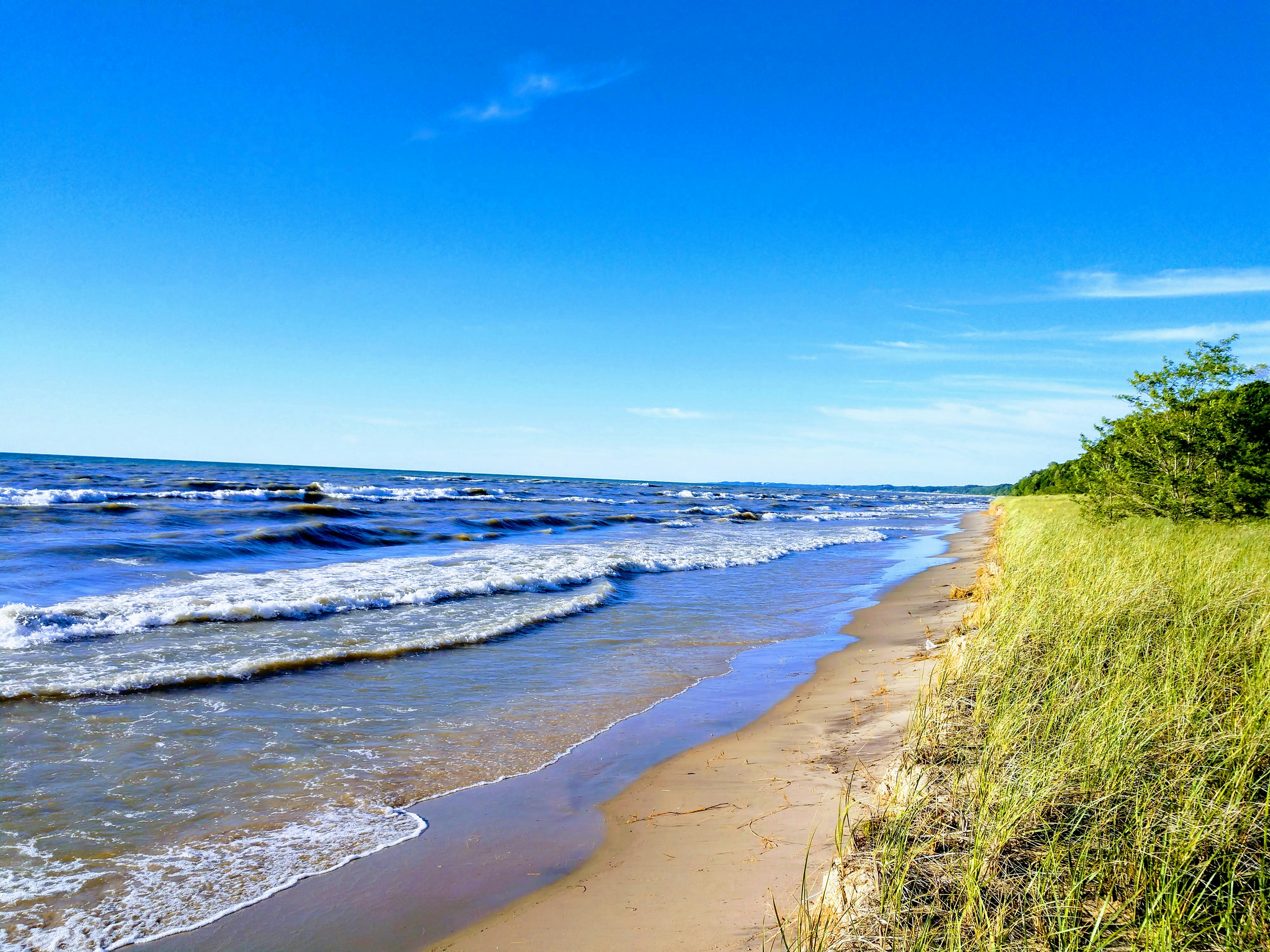 image of lakeshore