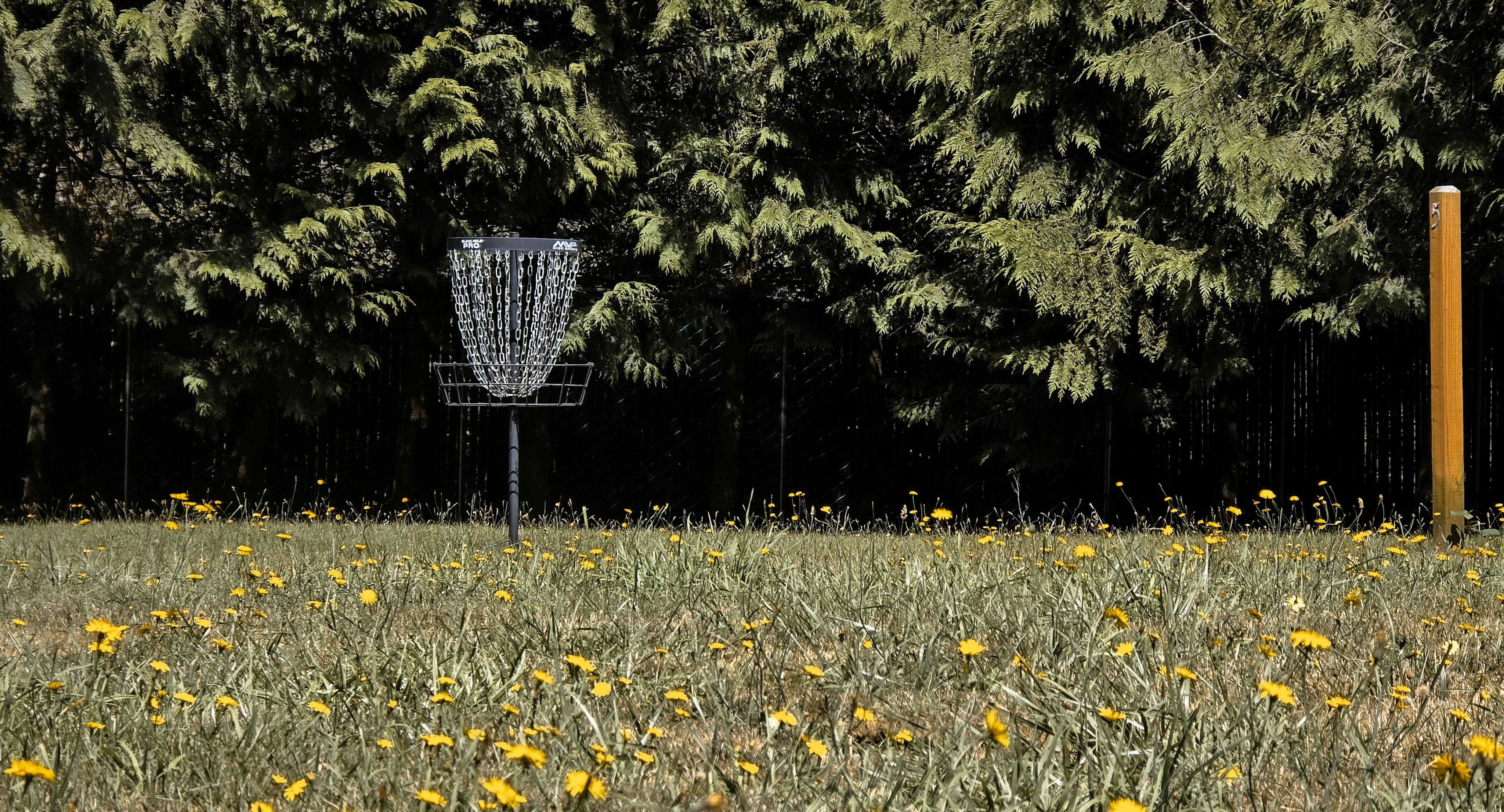 image of disc golf basket
