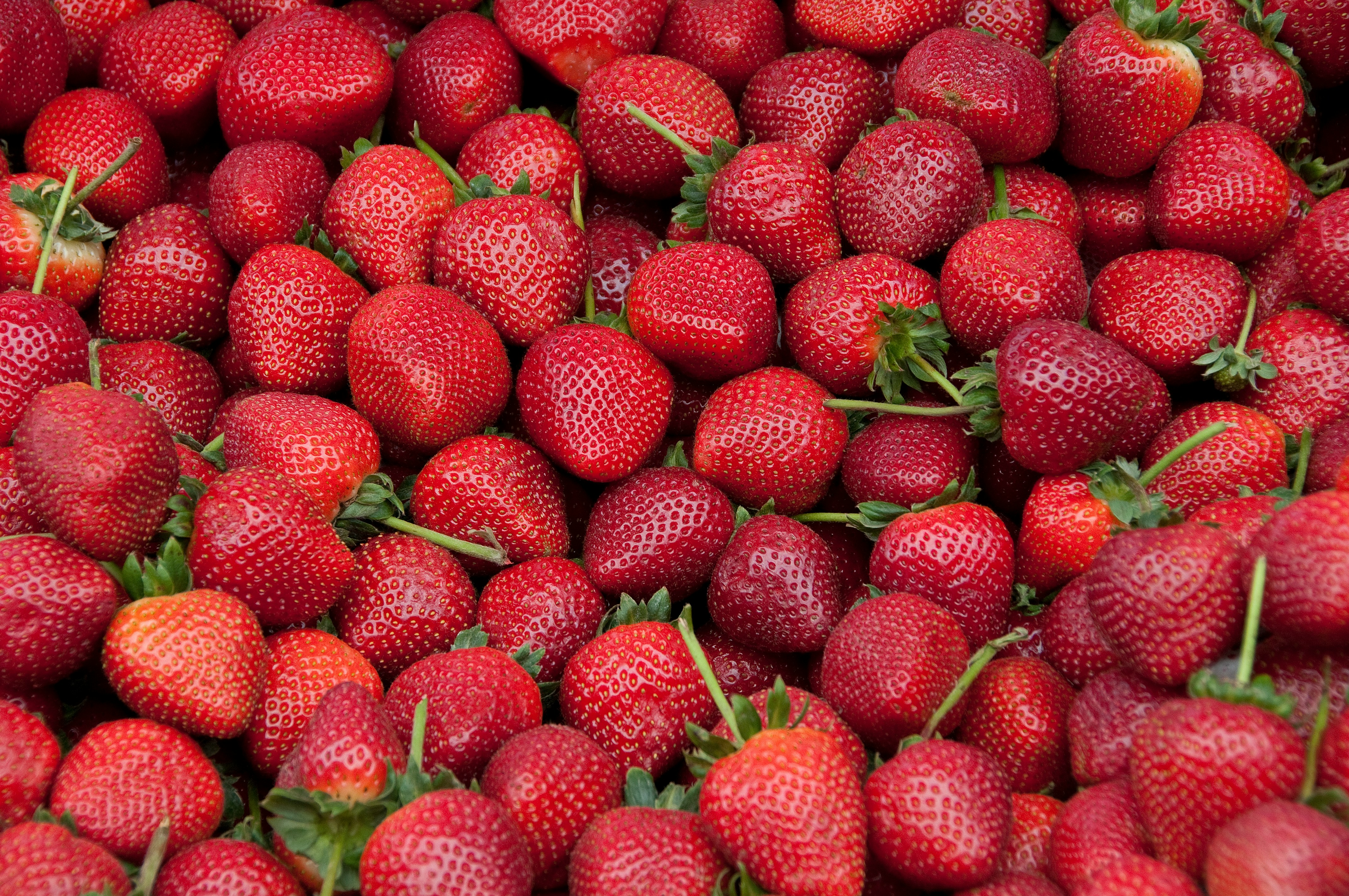 image of strawberries