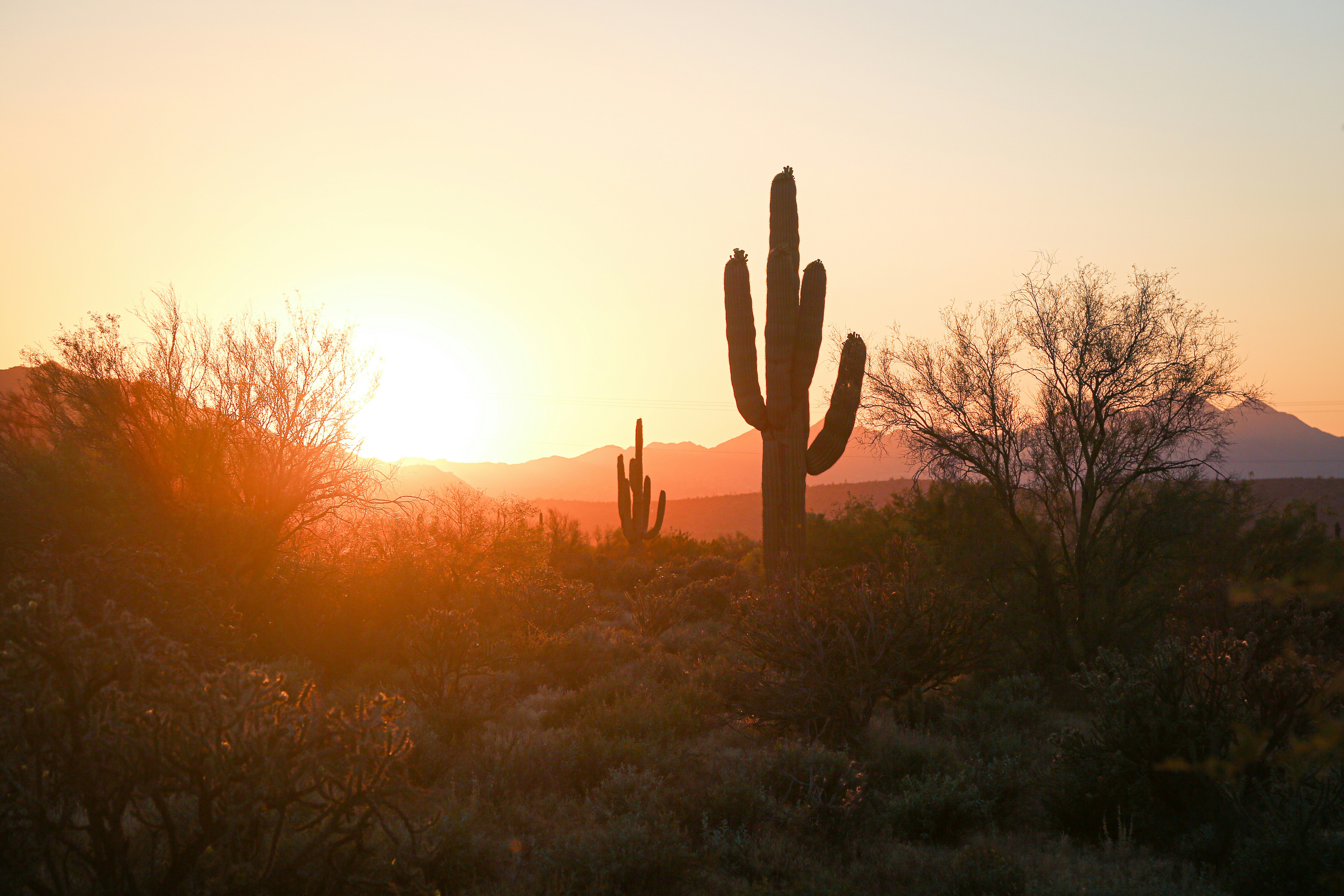 The Future of Arizona’s Real Estate Market: What Experts Predict header image.