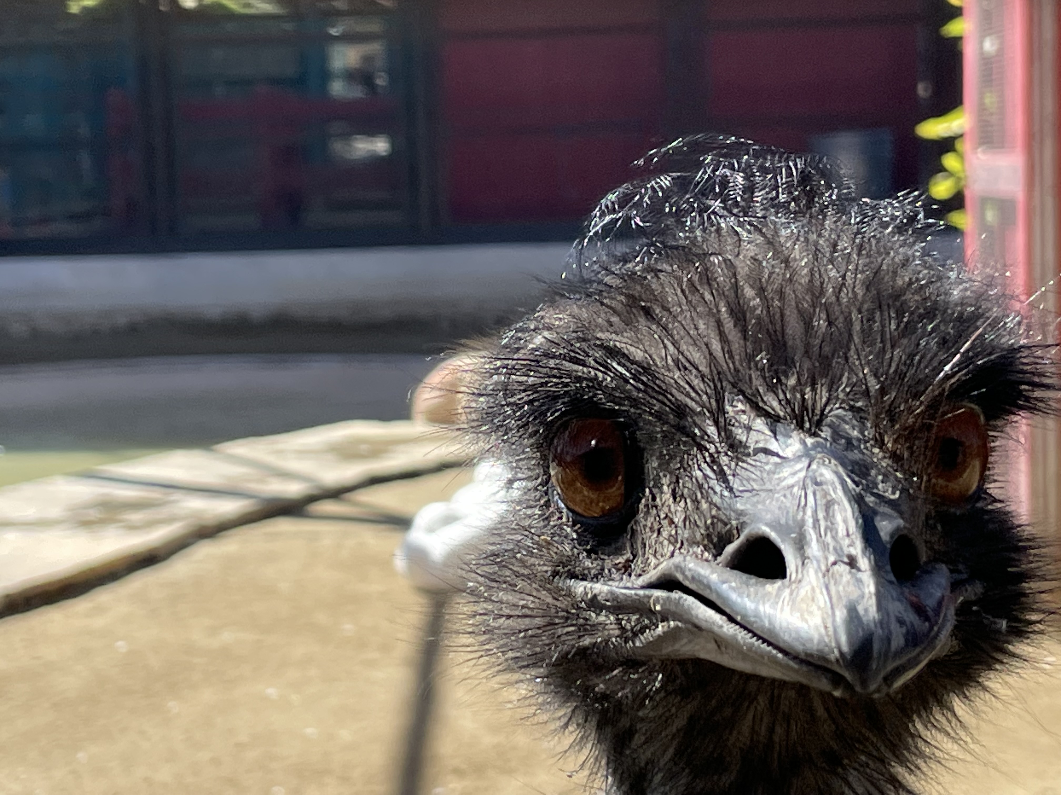 Discovering William S. Hart Regional Park header image.