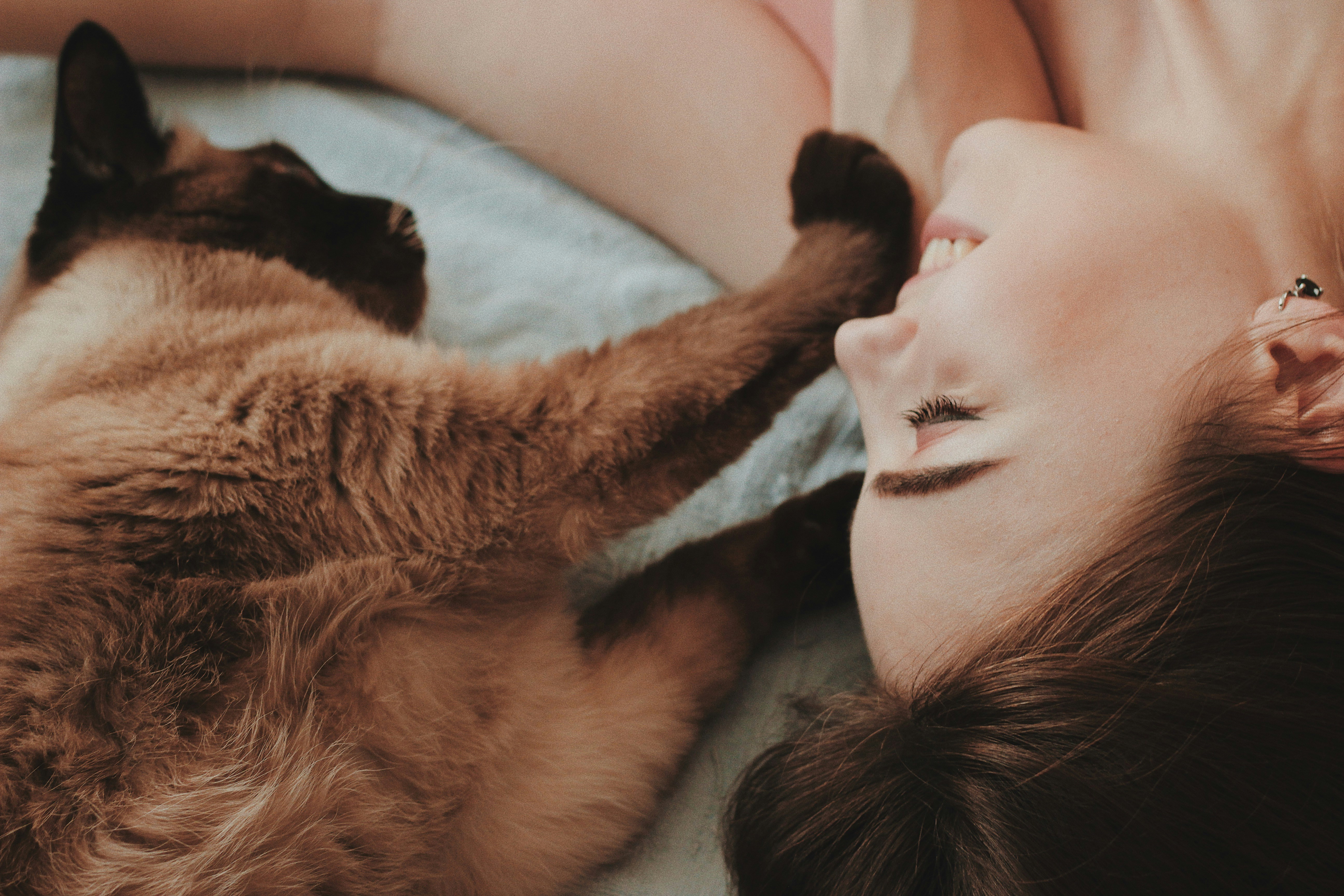 The Value of Pets: How They Improve Our Lives & Where to Adopt One header image.