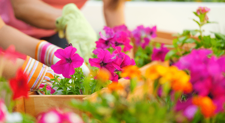 4 Things To Expect from the Spring Housing Market header image.