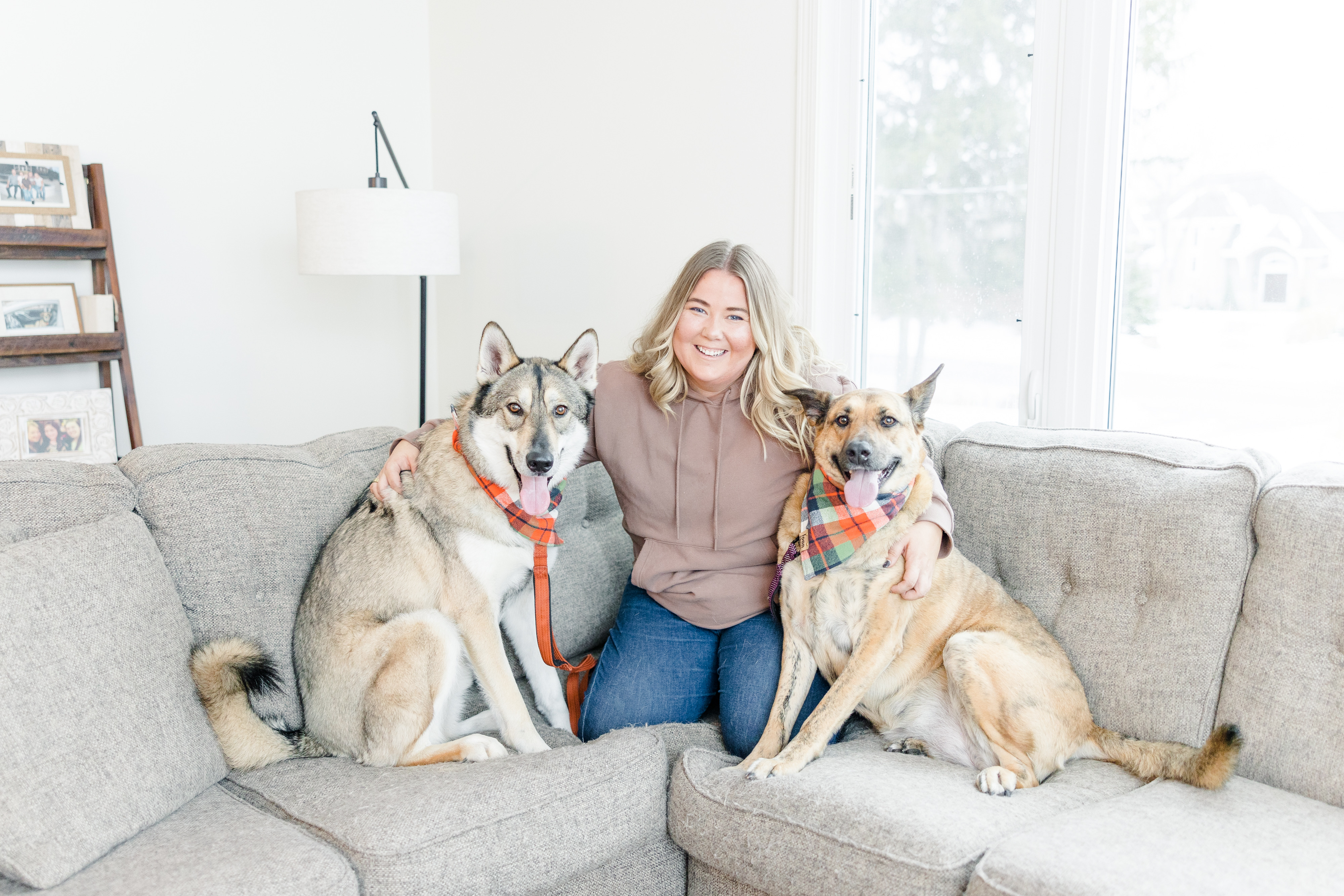 What to Do If Your Dog Goes Missing in Minnesota: 3 Resources Every Pet Parent Should Save header image.