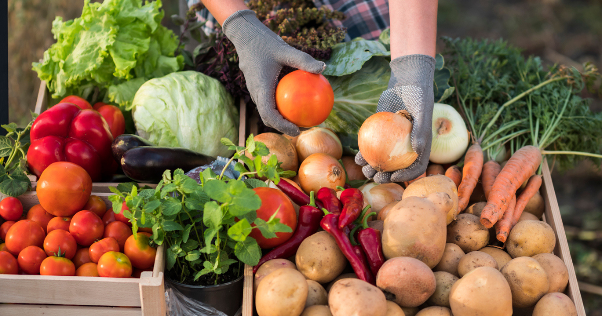 6 Indoor Winter Farmers Markets Throughout the Twin Cities header image.