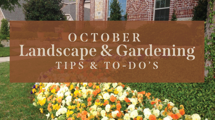 October Landscaping in Brevard County, FL: 7 Things Every Homeowner Should Do This Fall header image.