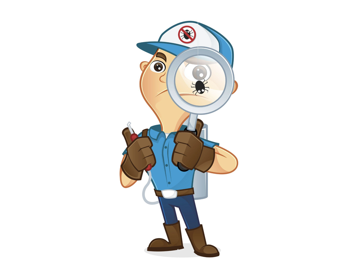 🐜 Termites: The Worst Renovation Crew Ever header image.