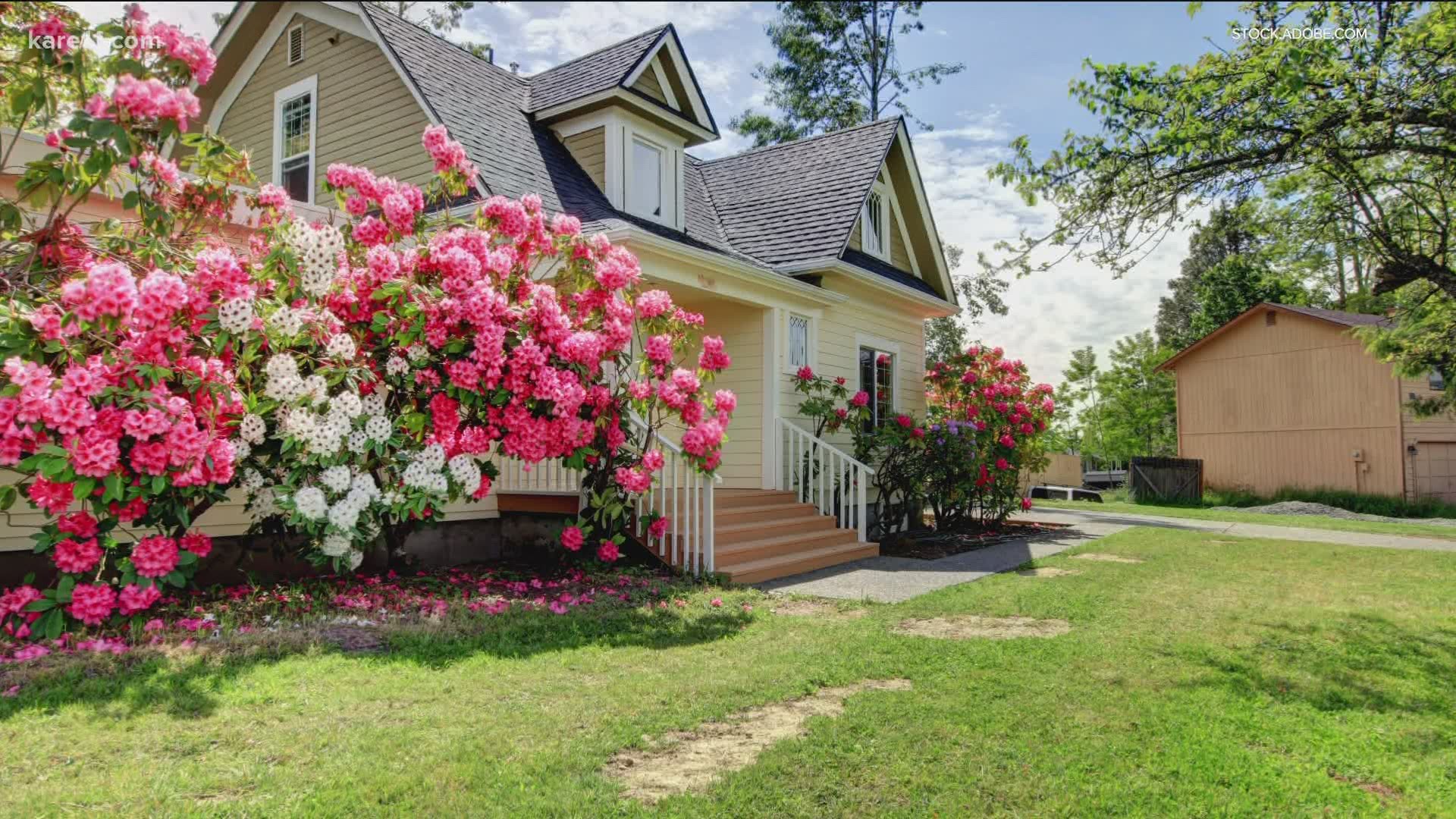 🌸 Spring Vibes: Homes, Tips & Inspiration for 2026 header image.