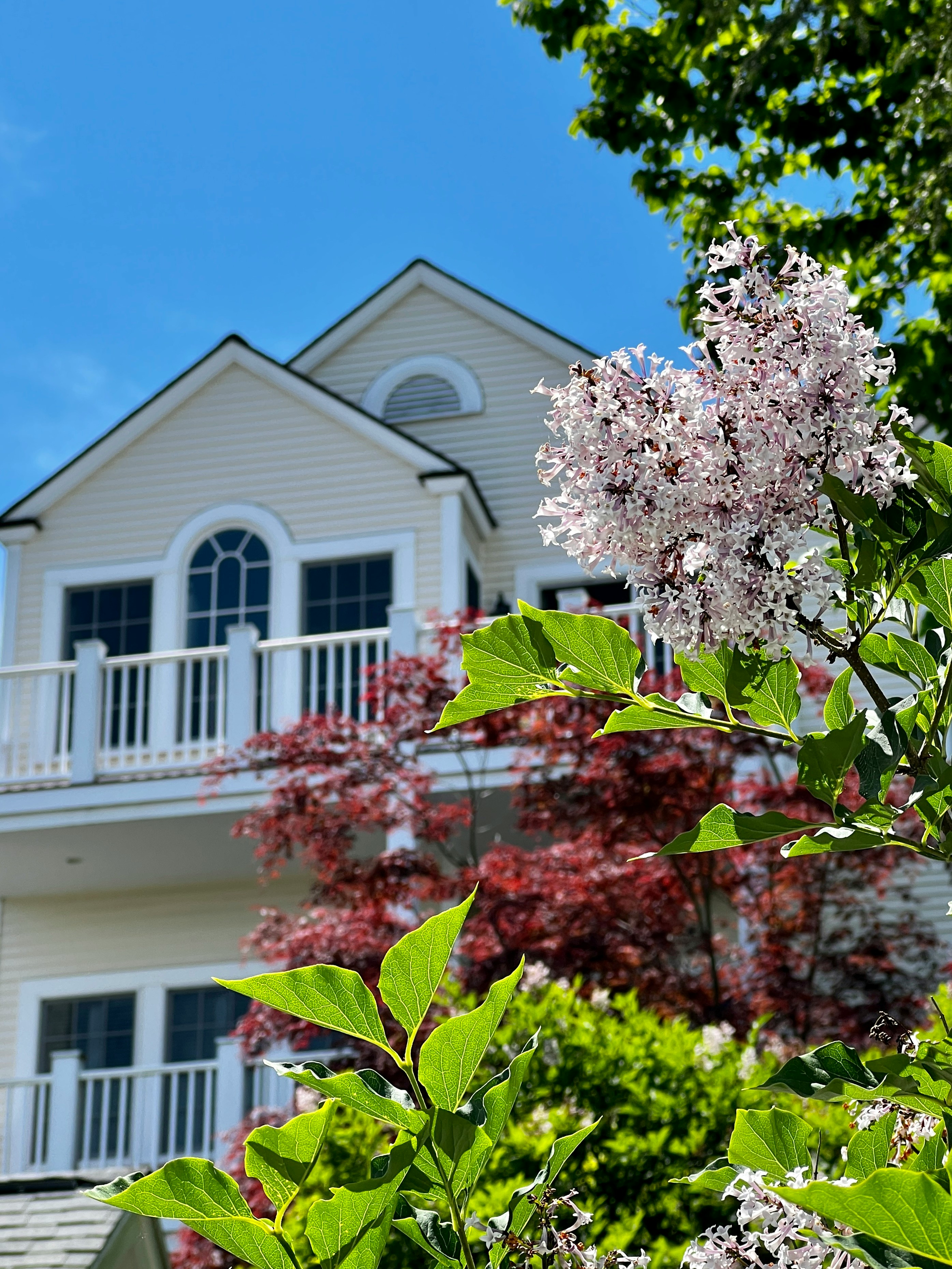 Why Spring Is the Busiest Real Estate Season header image.
