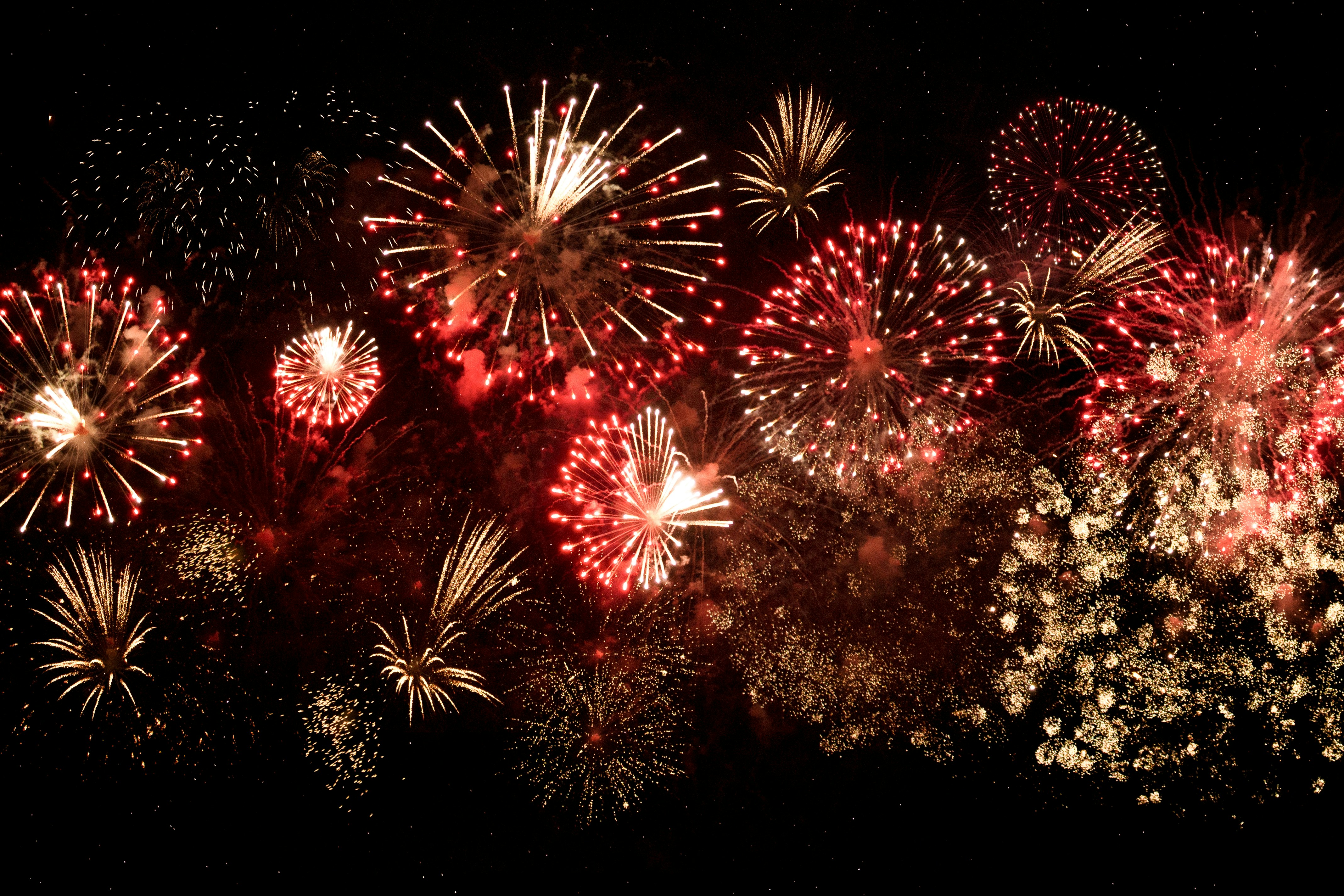 Happy Fourth of July from the Zoeller Group header image.