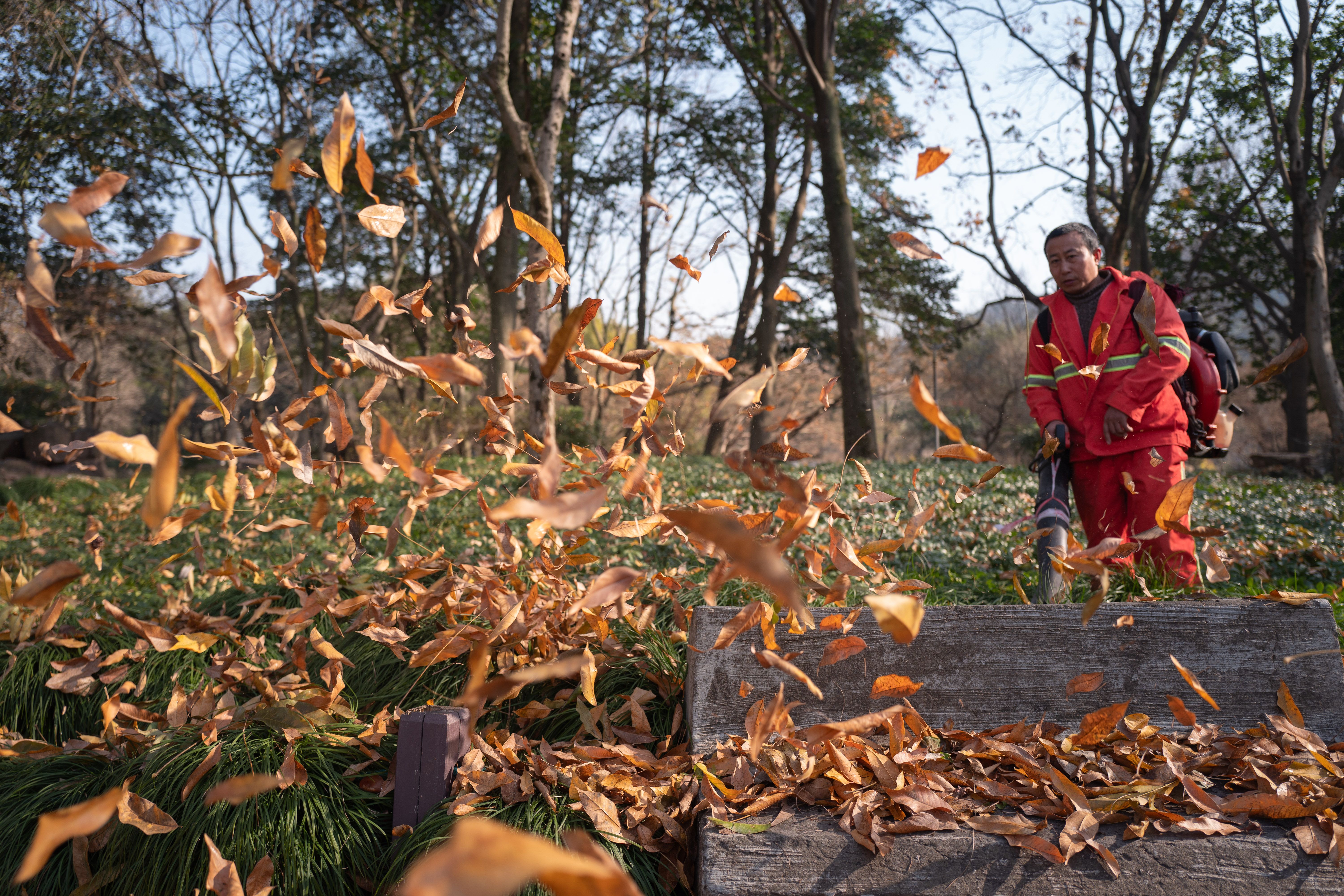Fall Leaf blowing Yard work in New England