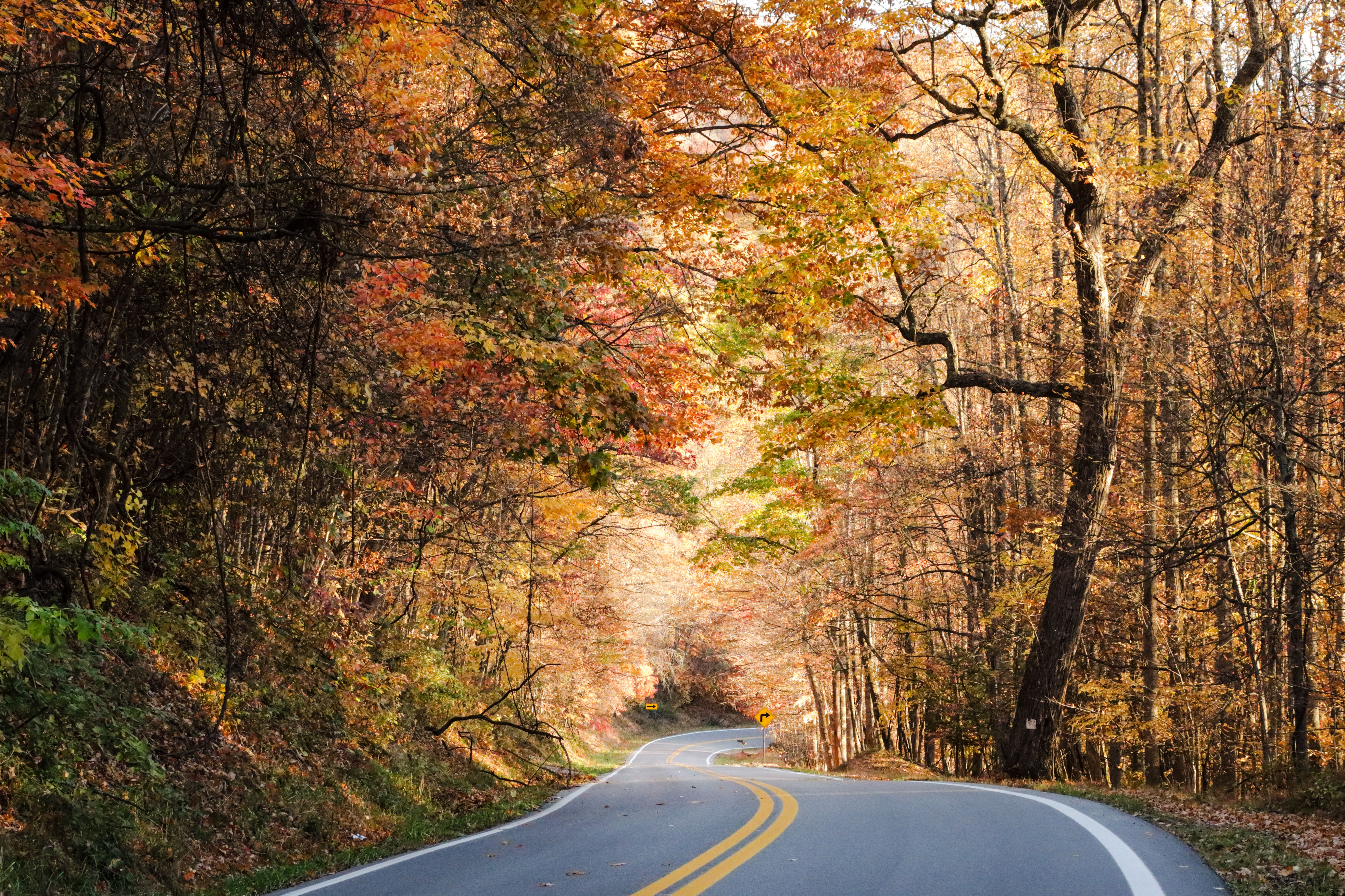Fall Weekend Guide: 10 Ways to Enjoy the Seacoast Without Leaving the Area header image.