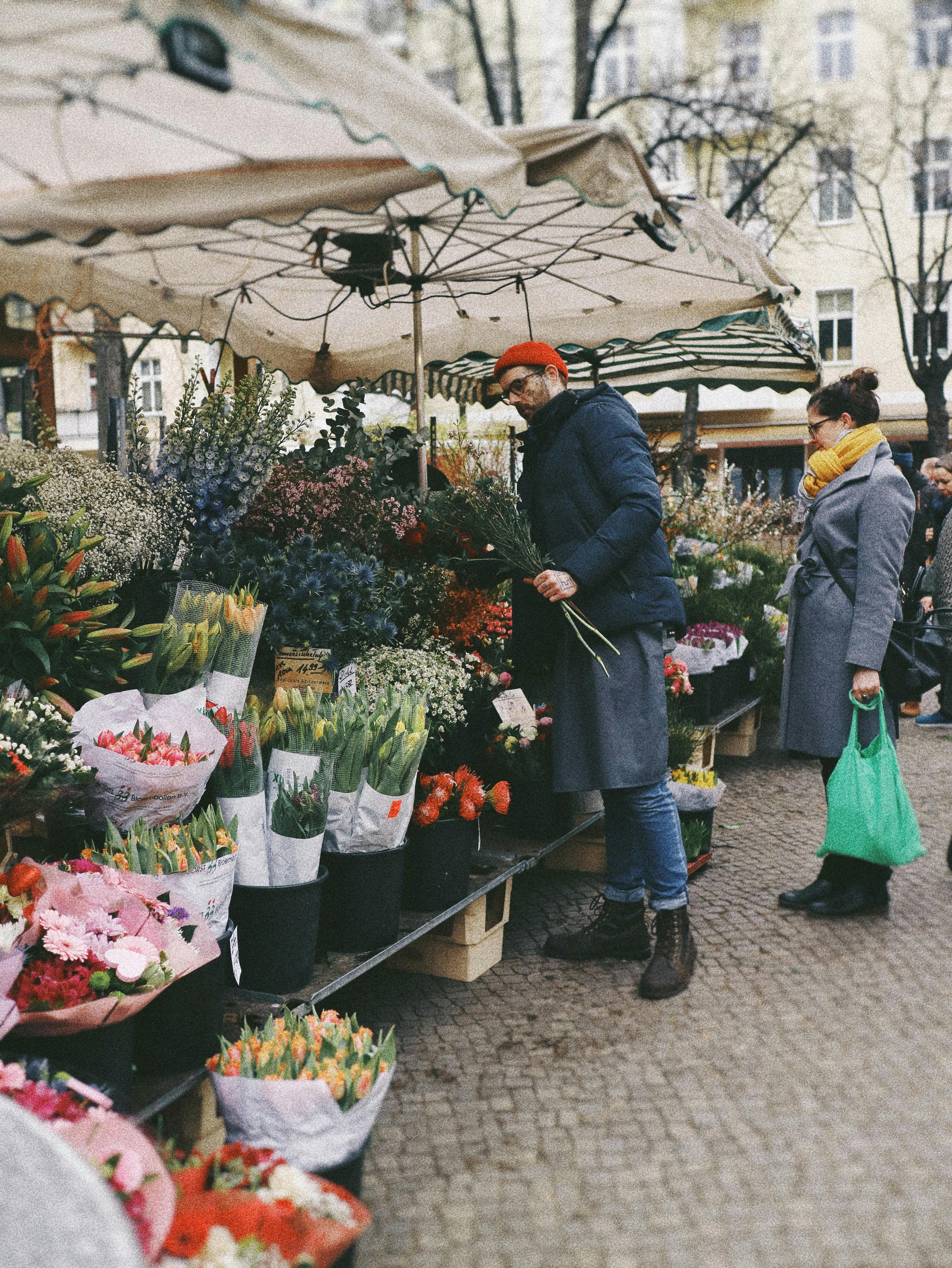Spring Events Around the Seacoast header image.