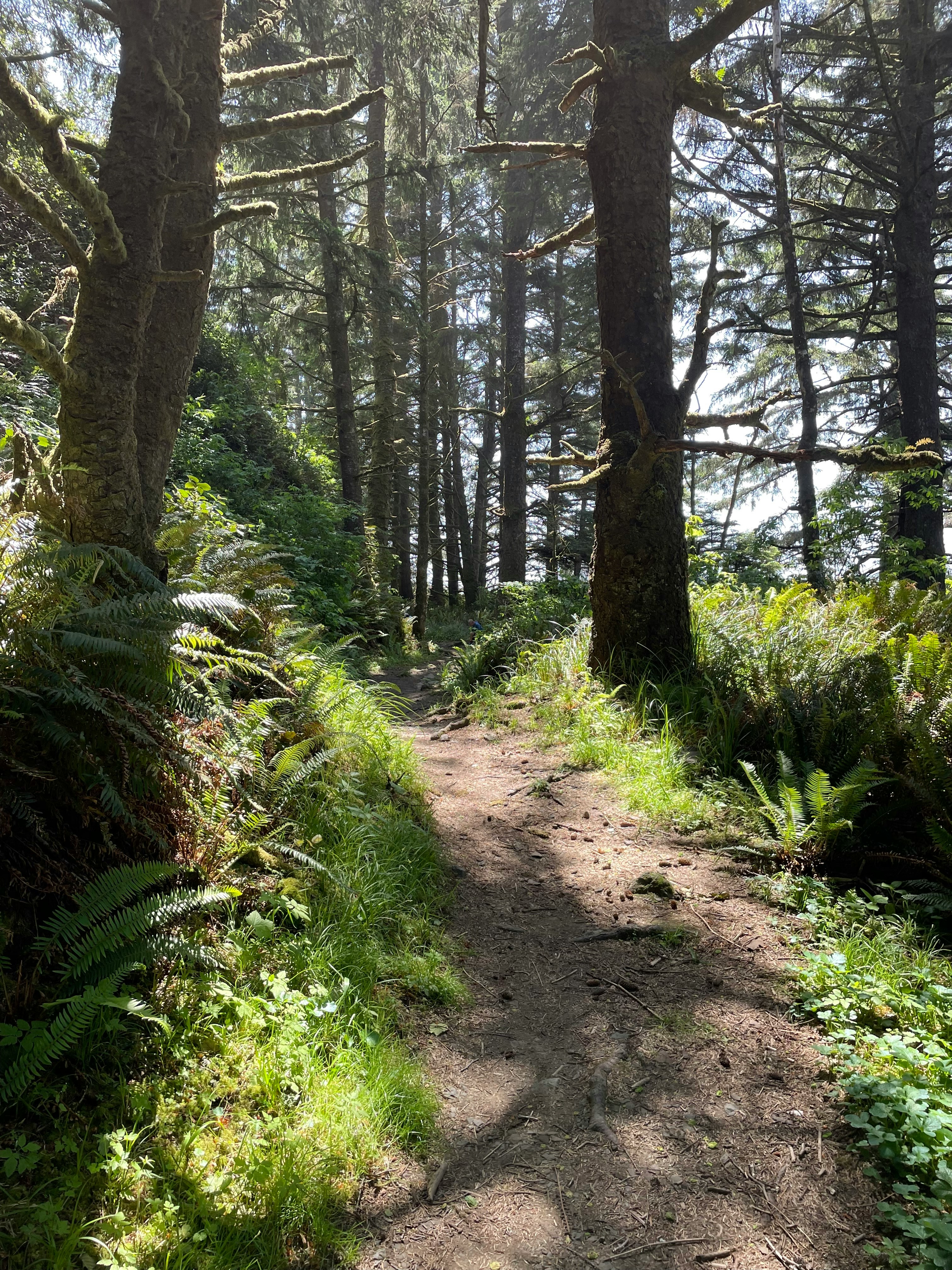 Best Spring Activities on the NH & Southern Maine Seacoast header image.