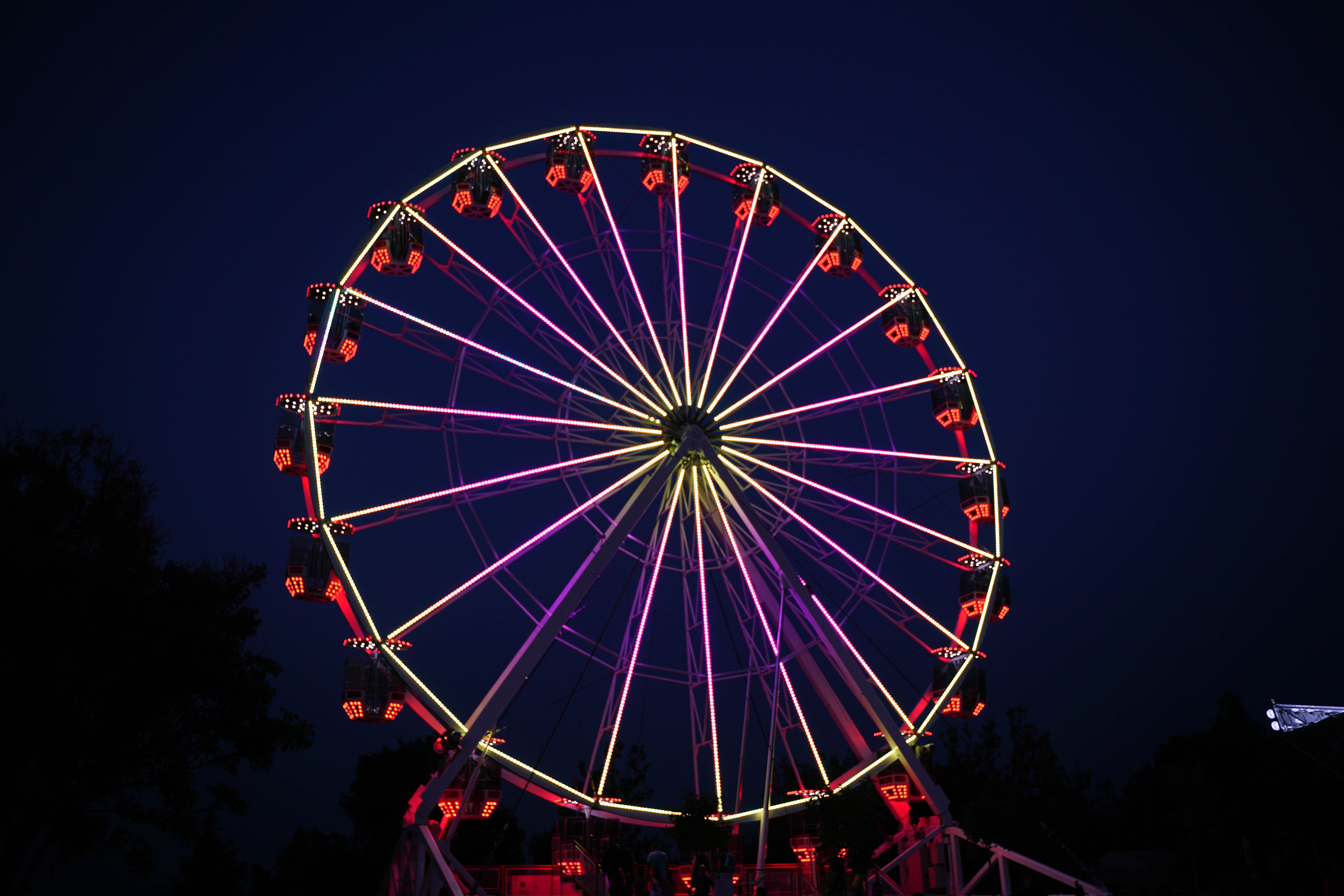 Ferris Wheel at night