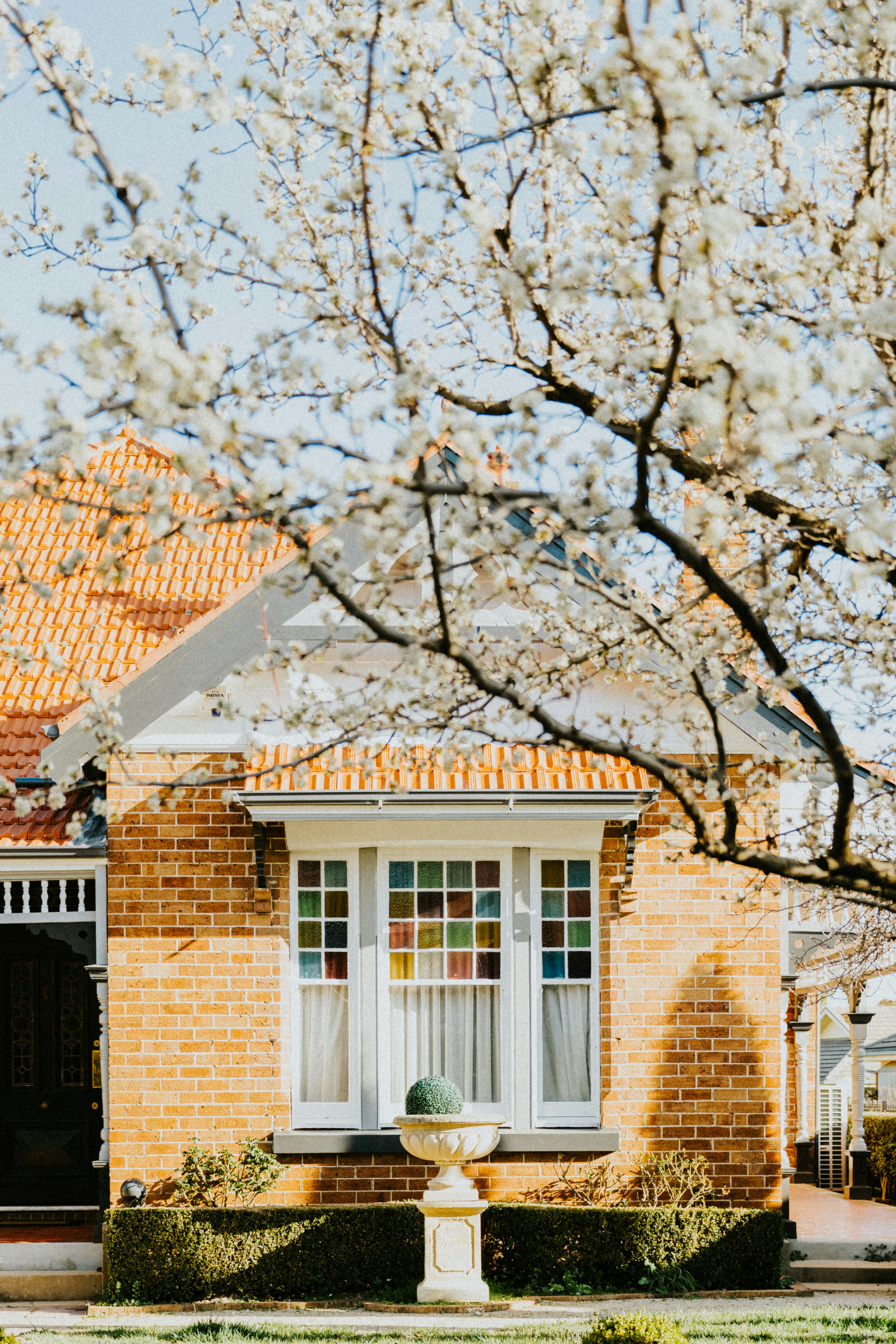 Home with Blooming Trees