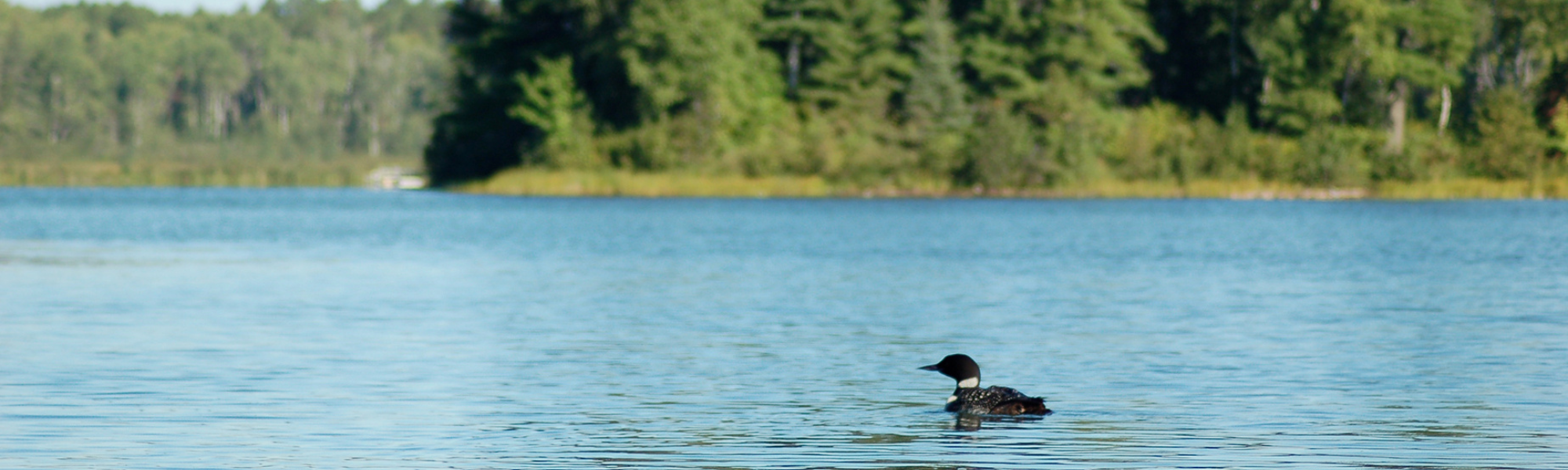 Chris Fritch to Represent Minnesota on National TV Show 