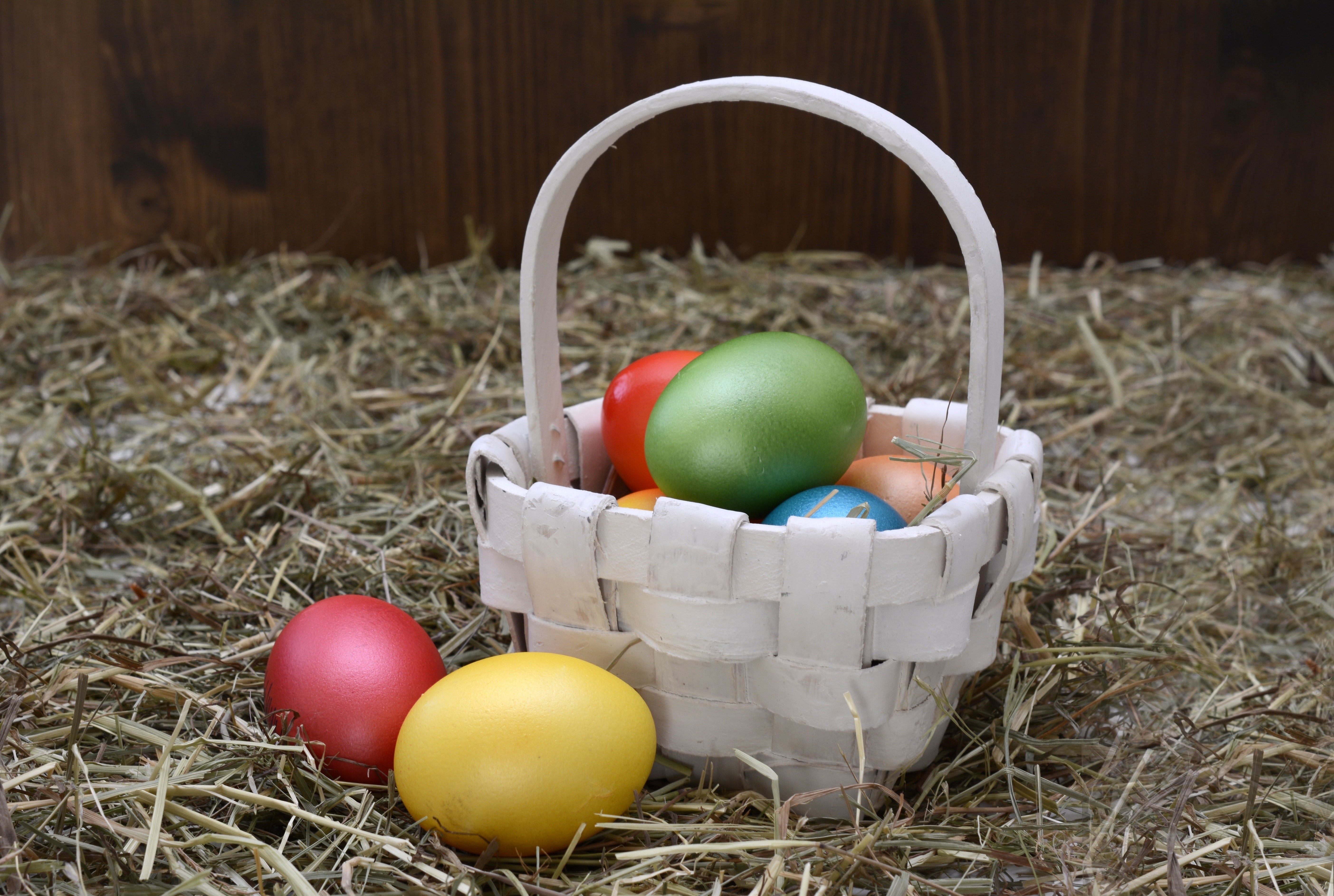 Looking for an Easter egg hunt? header image.