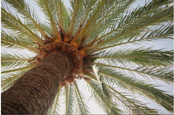 How to prepare your home for #vacation header image.