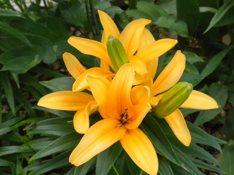 How We Find a Living Space That Works for Your Disability header image.