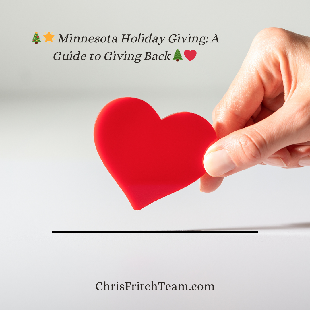 Minnesota Holiday Giving: A Guide to Giving Back header image.