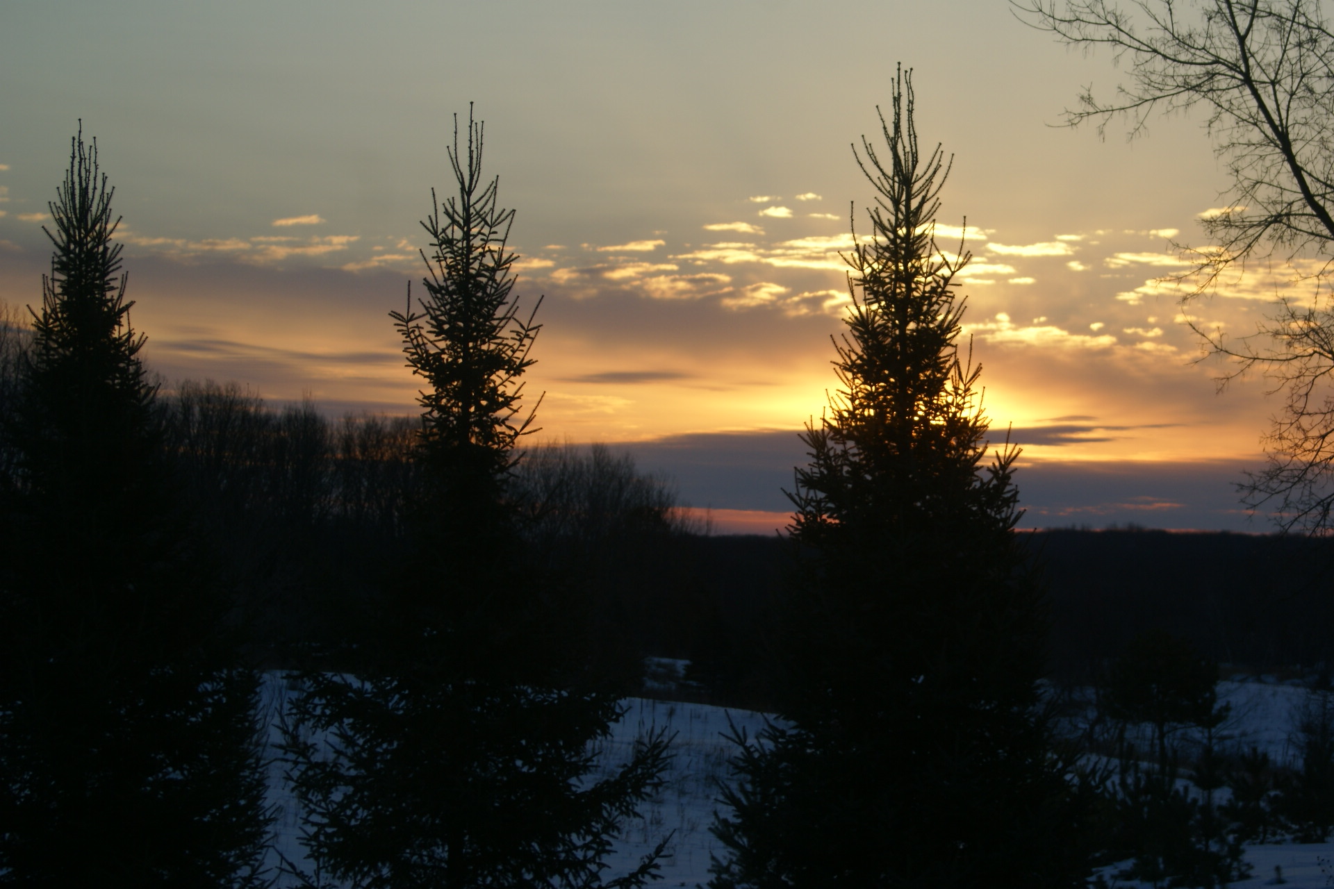 Fall Cleanup - It's never too early..... header image.