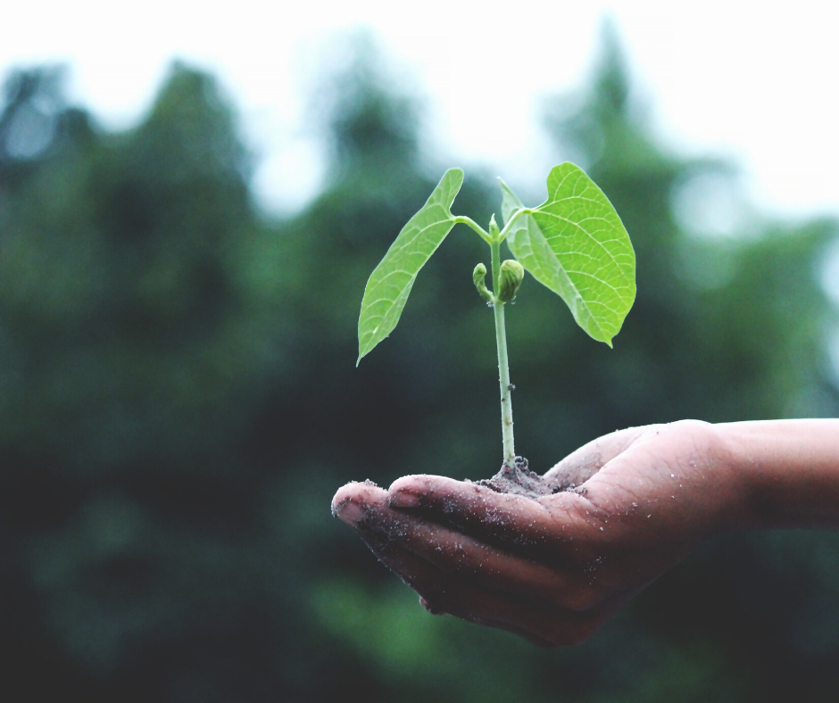 How long will it take for the economy to recover after this Pandemic? header image.