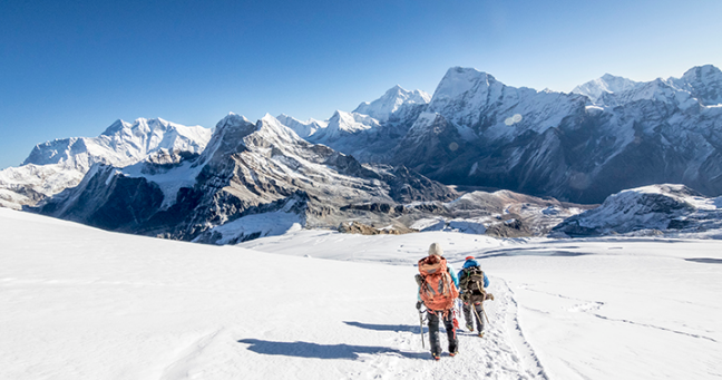 Buying or Selling a Home? You Need an Expert Kind of Guide header image.