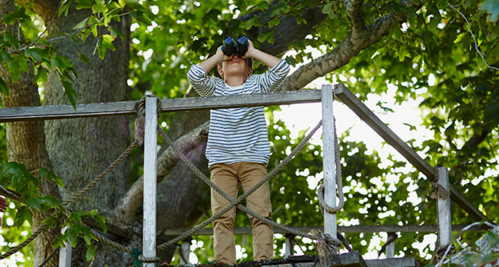 What Are Experts Saying About the Rest of 2020? header image.