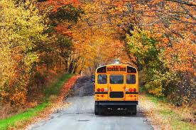 Best school districts North Metro MN