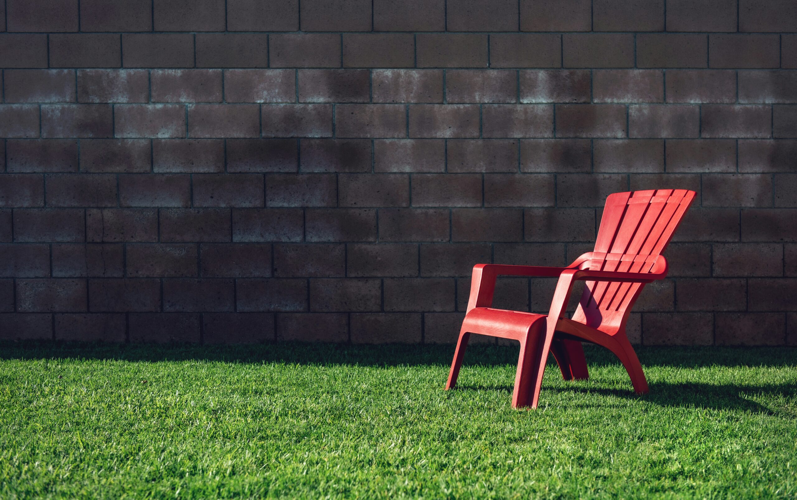 Smart Upgrades for a Comfortable, Low-Maintenance Backyard header image.