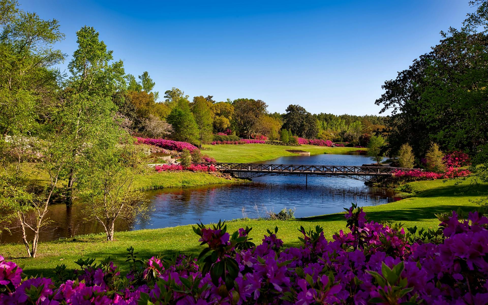 How Smart Landscaping Fights Summer Heat header image.