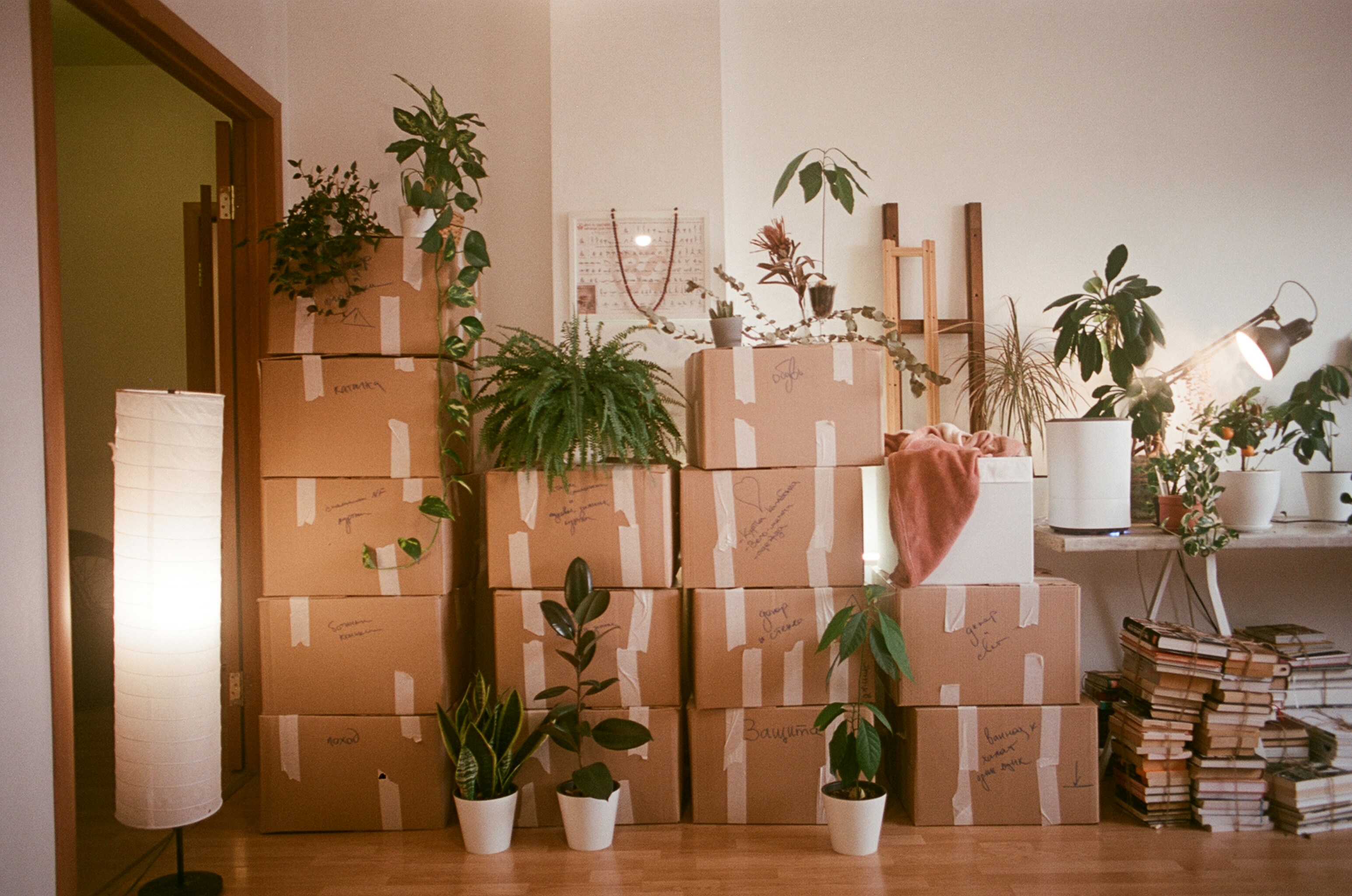 Expert Tips to Make Your Move Smooth and Organized header image.