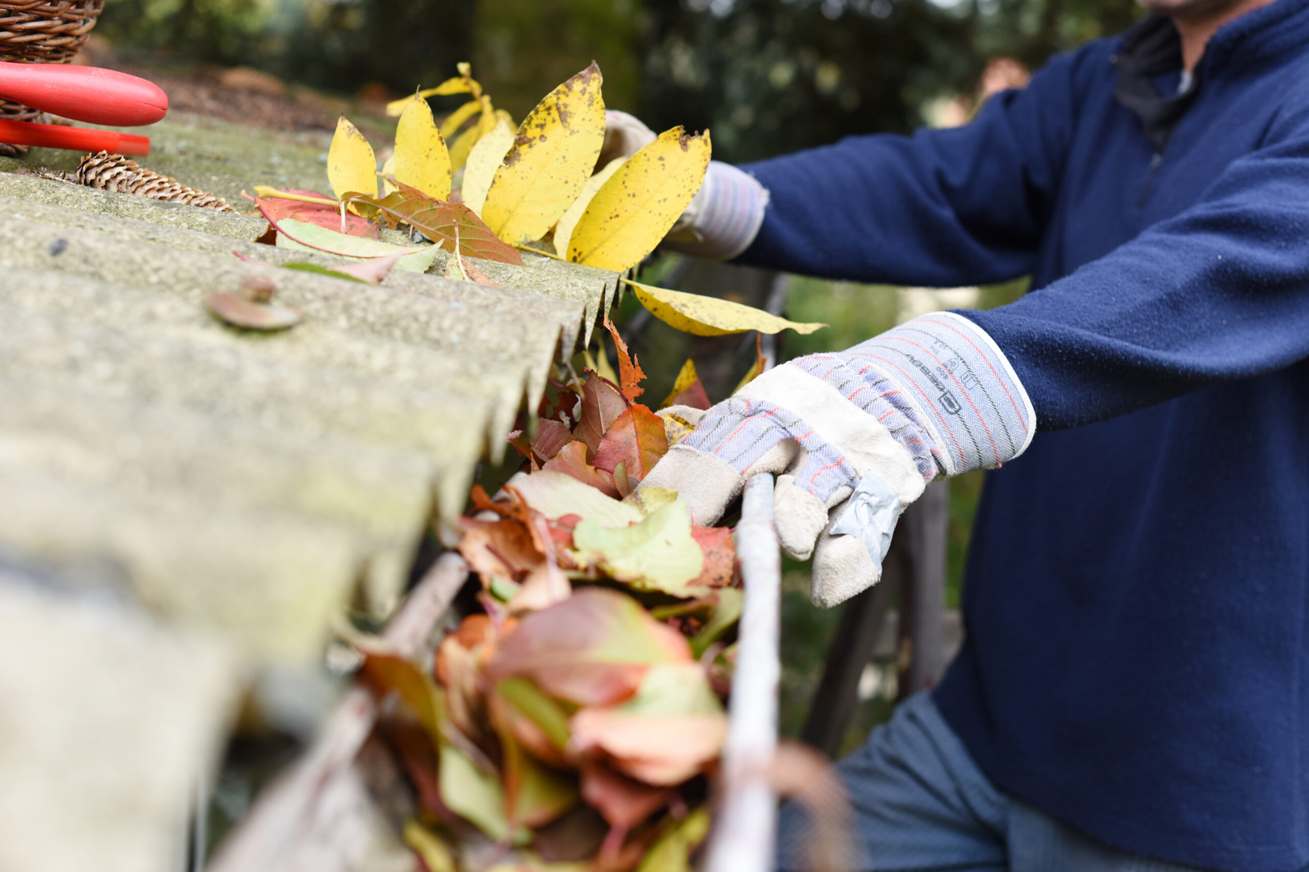 Why Gutter Maintenance Matters When Selling Your Home header image.
